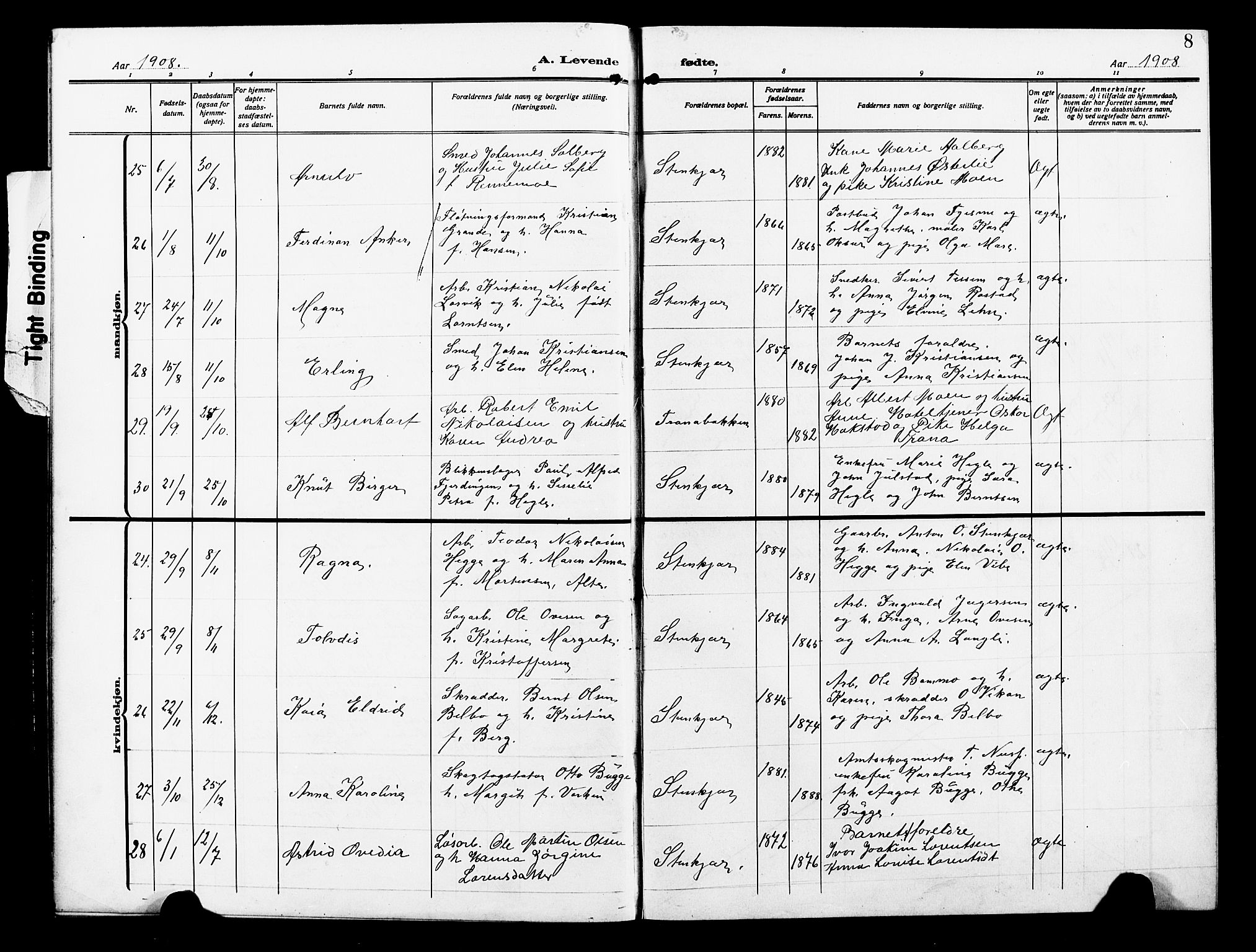 Ministerialprotokoller, klokkerbøker og fødselsregistre - Nord-Trøndelag, AV/SAT-A-1458/739/L0376: Parish register (copy) no. 739C04, 1908-1917, p. 8