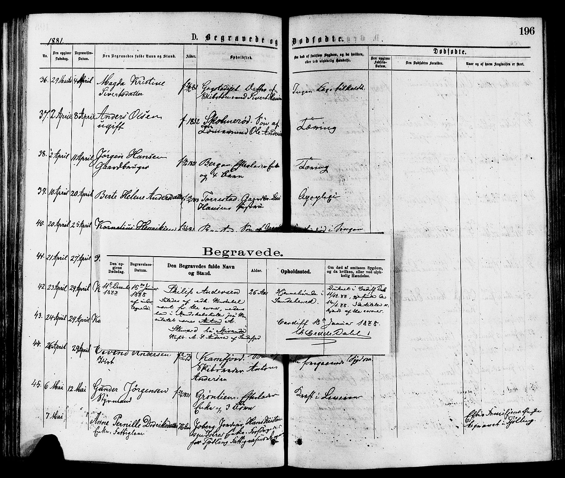 Sandar kirkebøker, SAKO/A-243/F/Fa/L0011: Parish register (official) no. 11, 1872-1882, p. 196