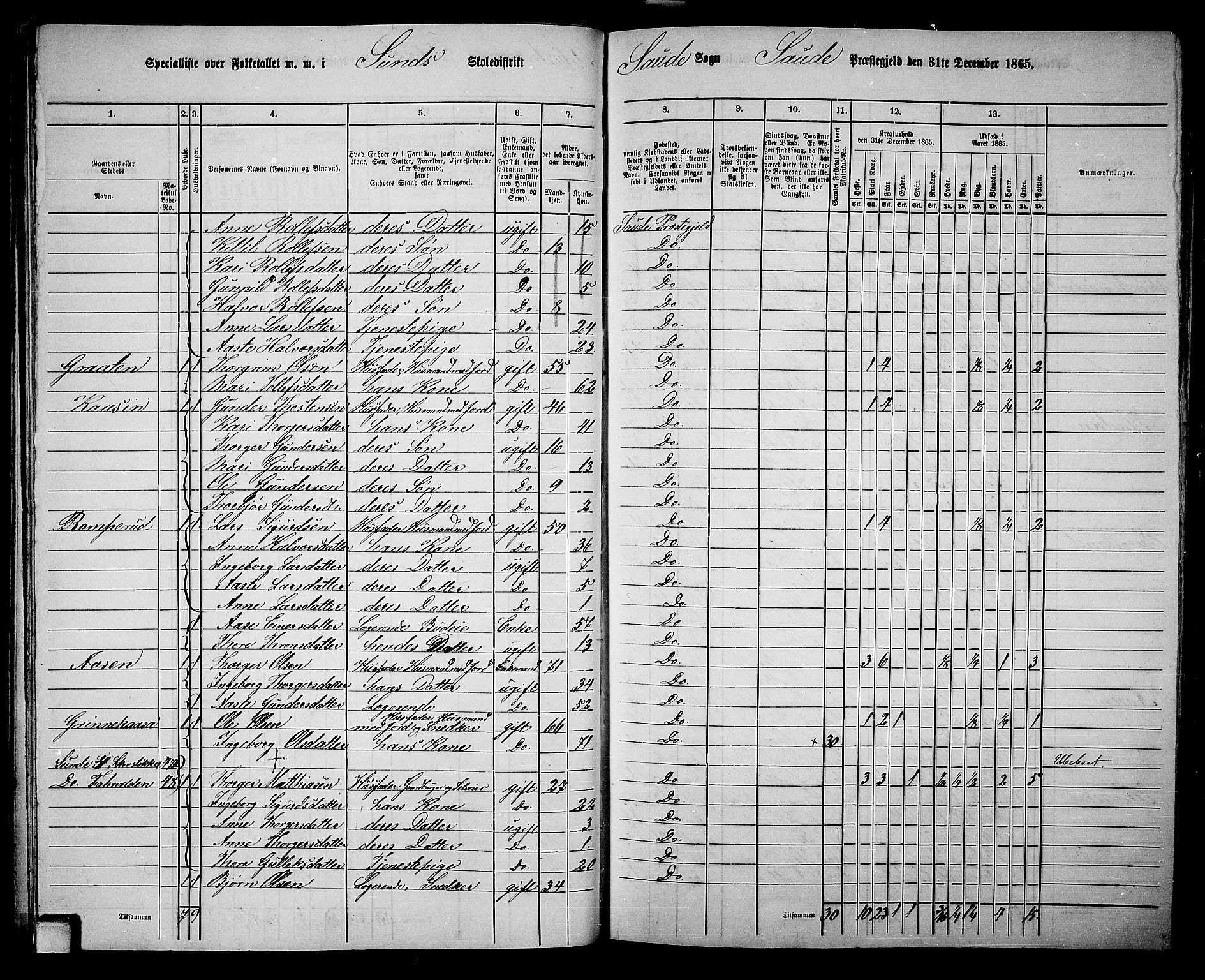 RA, 1865 census for Sauherad, 1865, p. 46