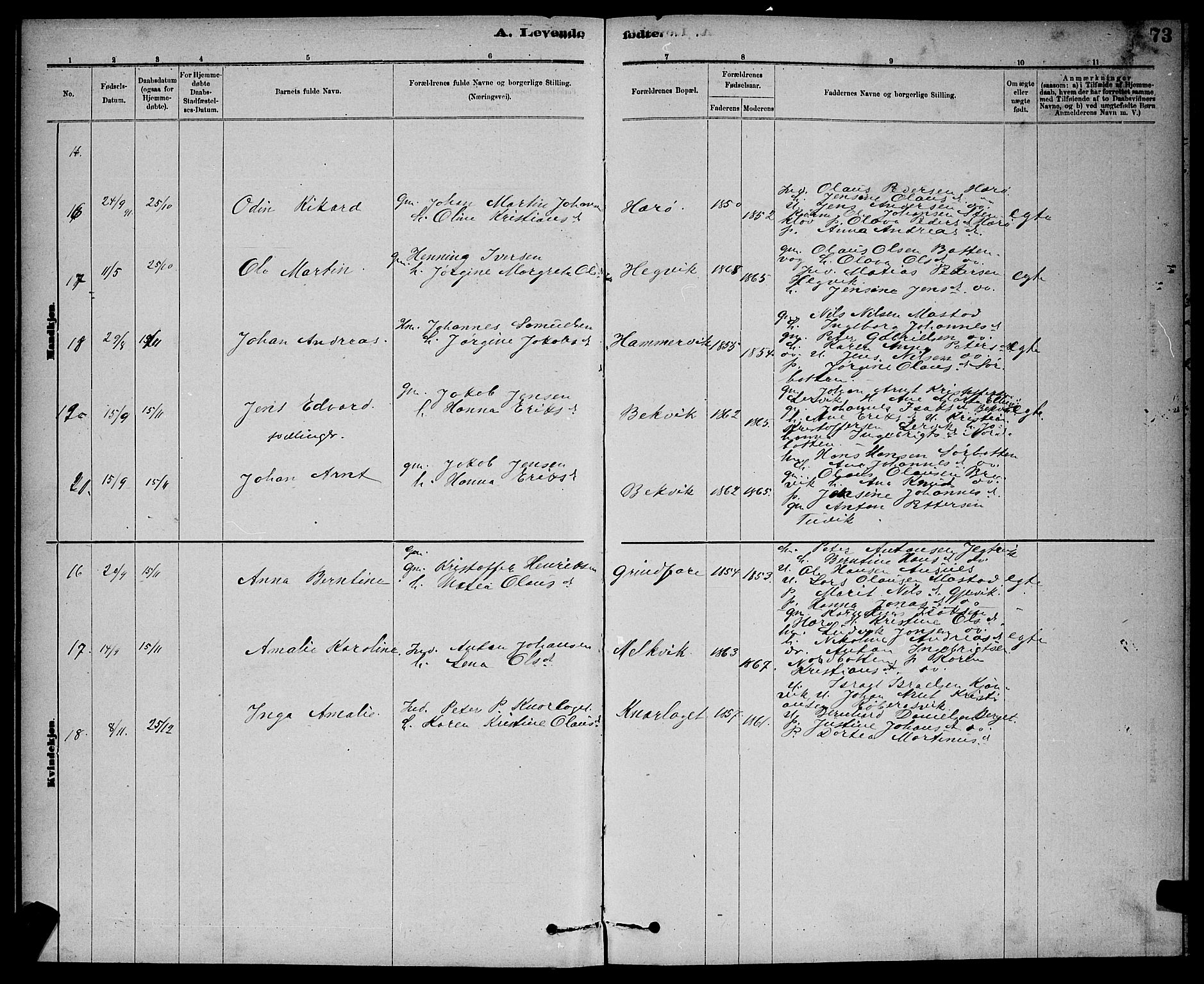 Ministerialprotokoller, klokkerbøker og fødselsregistre - Sør-Trøndelag, AV/SAT-A-1456/637/L0562: Parish register (copy) no. 637C03, 1883-1898, p. 73