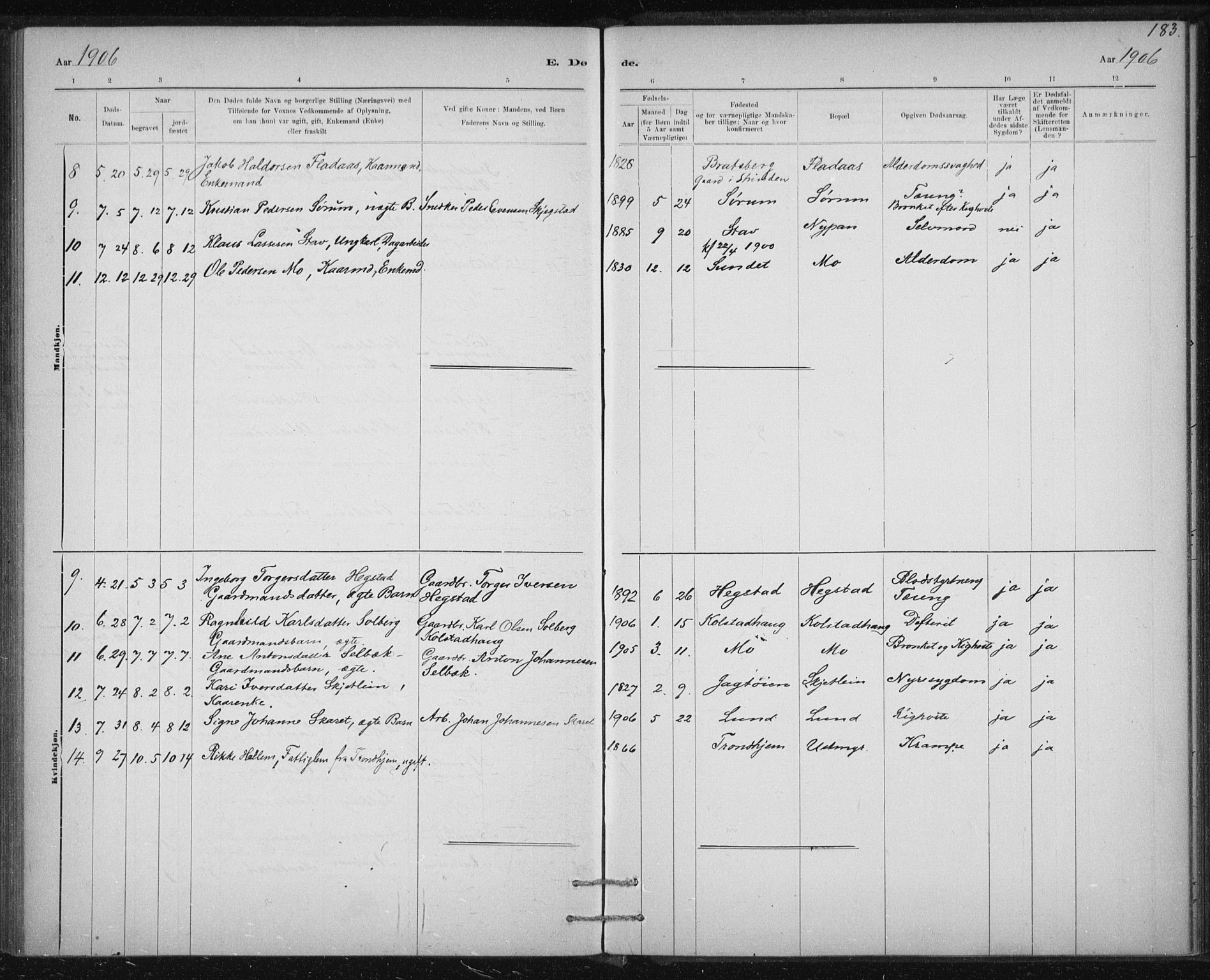 Ministerialprotokoller, klokkerbøker og fødselsregistre - Sør-Trøndelag, AV/SAT-A-1456/613/L0392: Parish register (official) no. 613A01, 1887-1906, p. 183