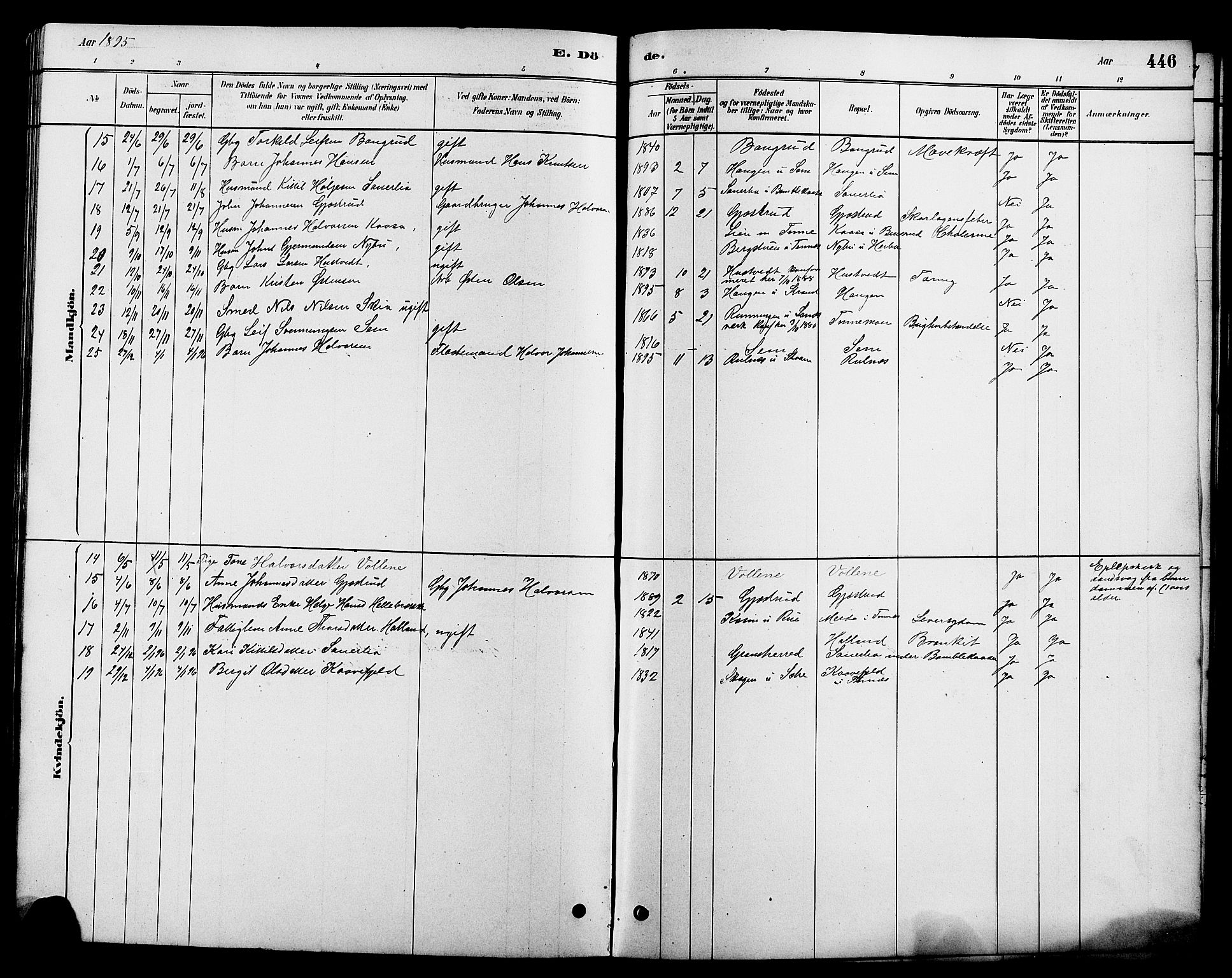 Heddal kirkebøker, AV/SAKO-A-268/G/Ga/L0002: Parish register (copy) no. I 2, 1879-1908, p. 446