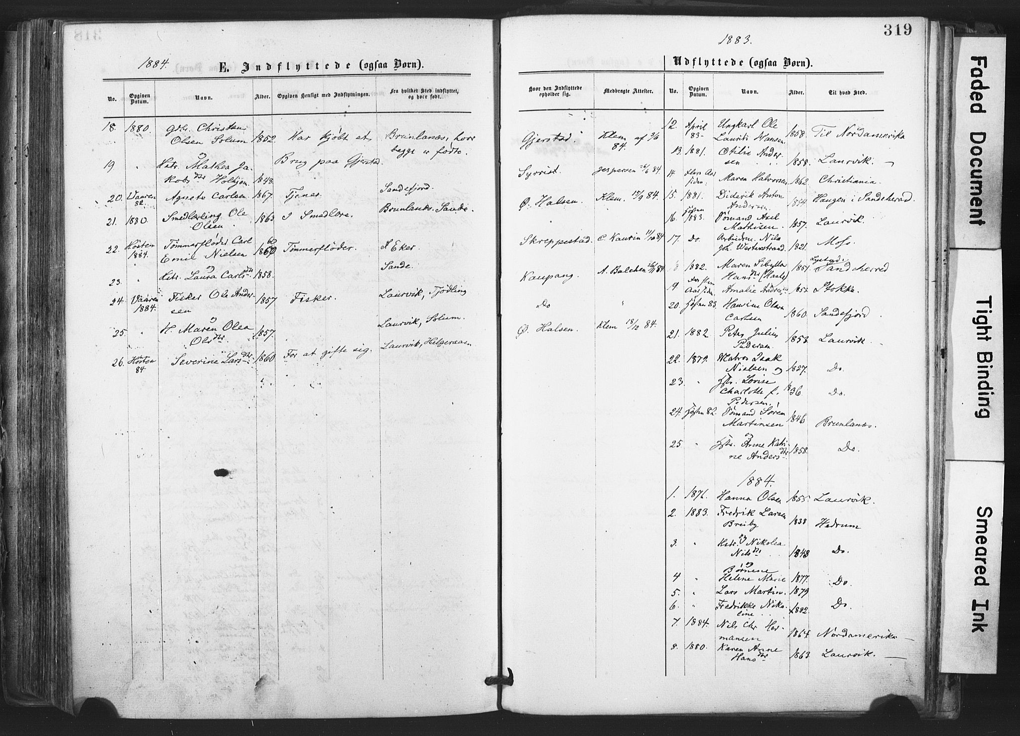Tjølling kirkebøker, AV/SAKO-A-60/F/Fa/L0008: Parish register (official) no. 8, 1877-1886, p. 319