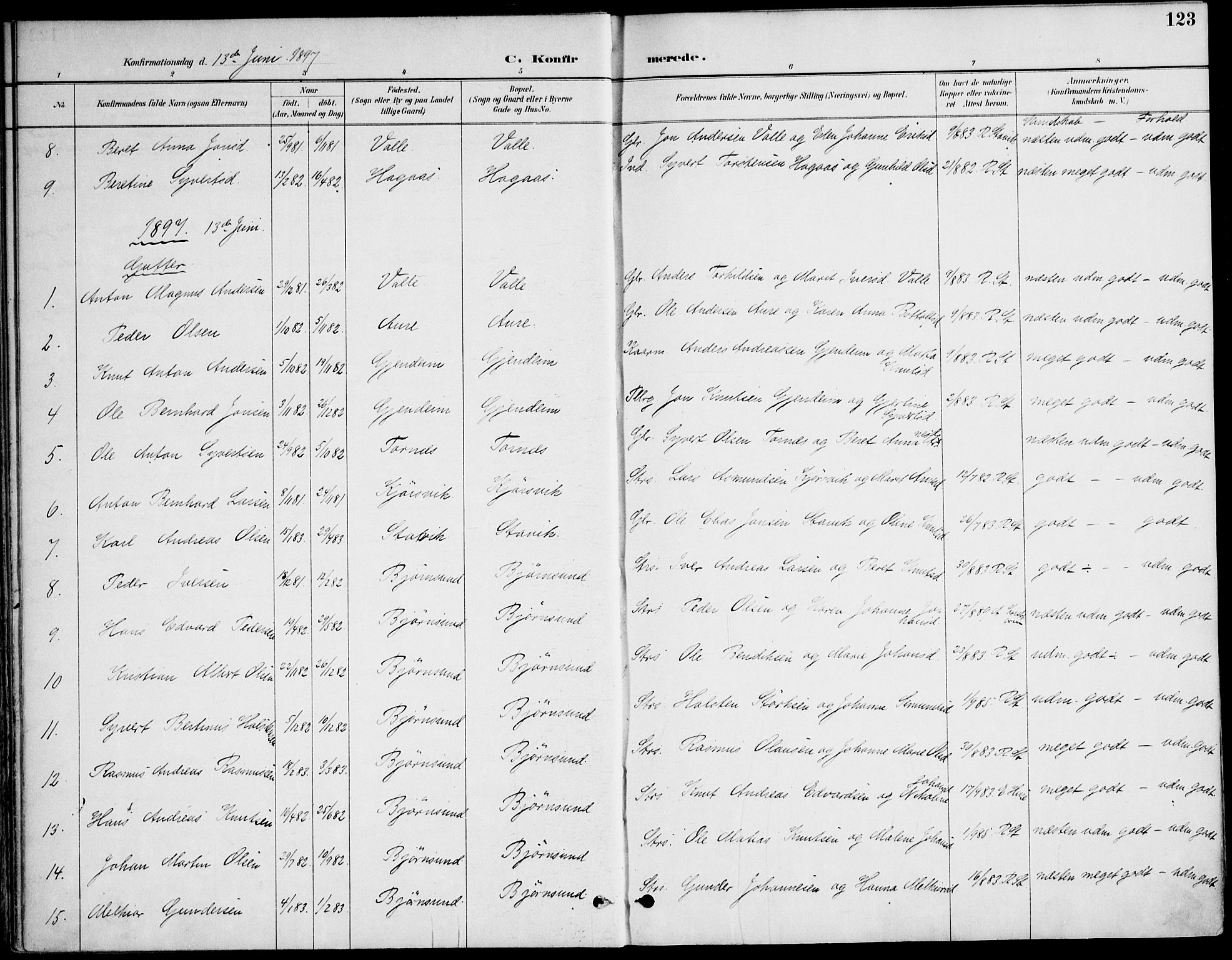 Ministerialprotokoller, klokkerbøker og fødselsregistre - Møre og Romsdal, AV/SAT-A-1454/565/L0750: Parish register (official) no. 565A04, 1887-1905, p. 123