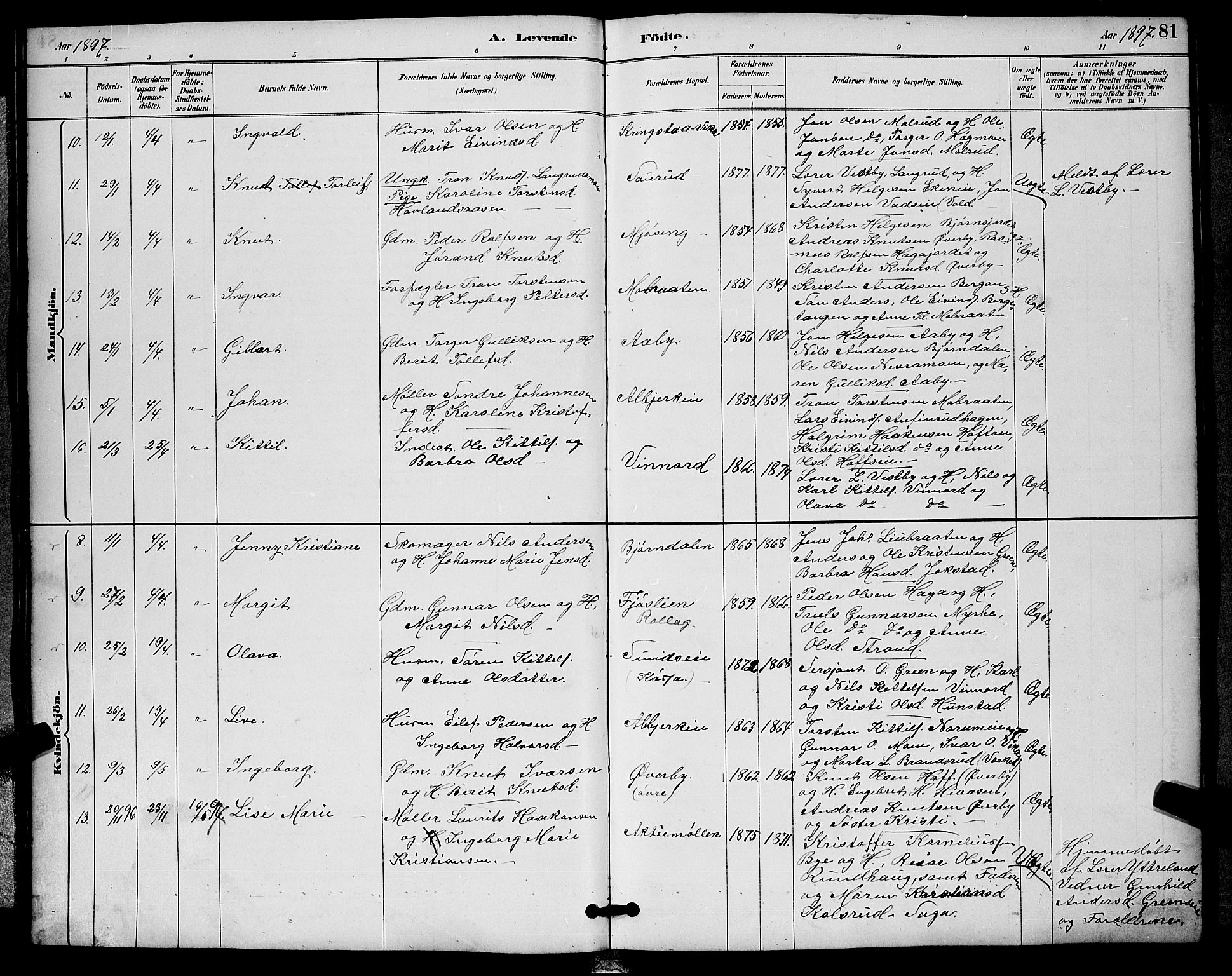 Sigdal kirkebøker, AV/SAKO-A-245/G/Ga/L0005: Parish register (copy) no. I 5, 1886-1900, p. 81