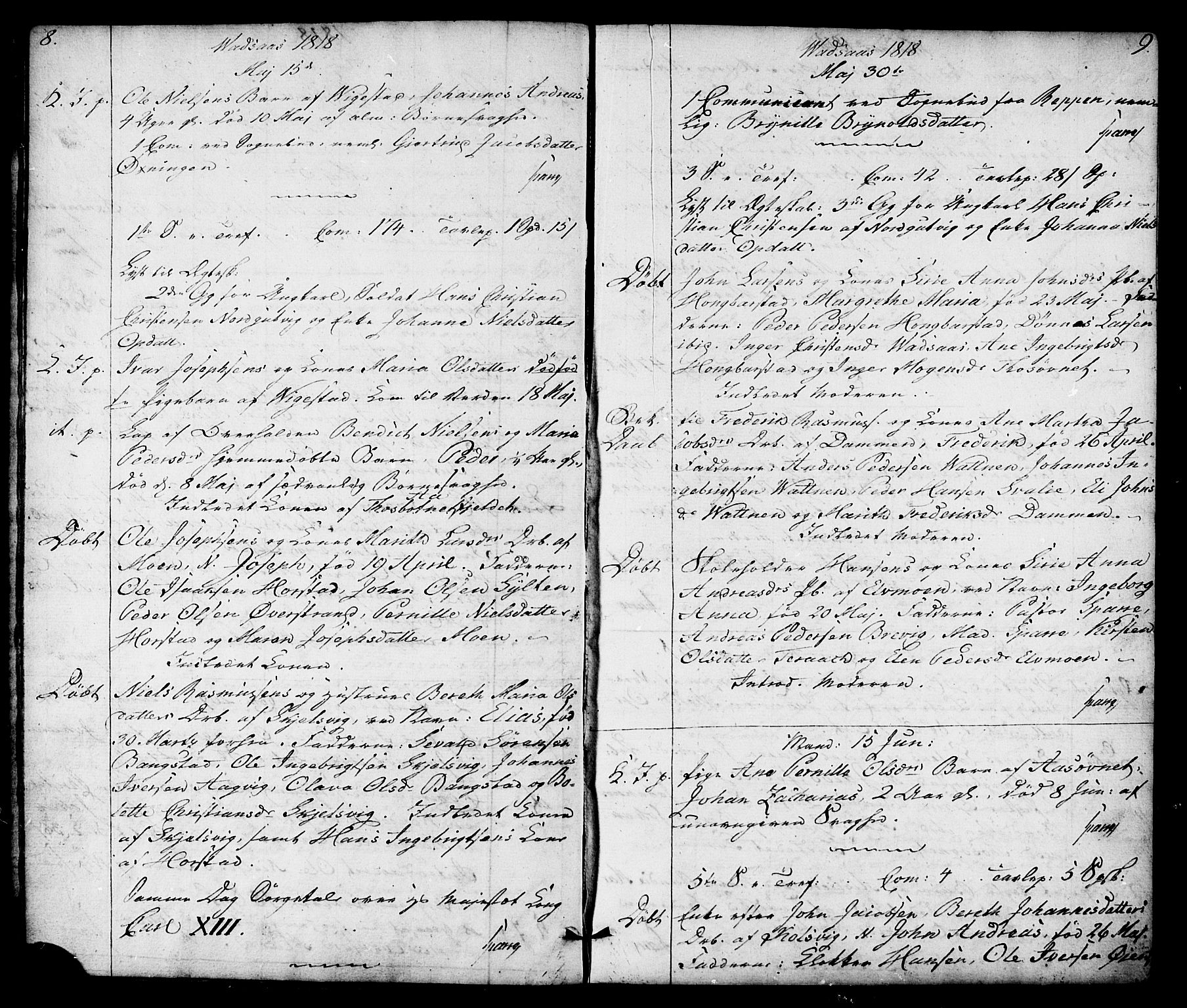 Ministerialprotokoller, klokkerbøker og fødselsregistre - Nordland, SAT/A-1459/810/L0140: Parish register (official) no. 810A04, 1817-1819, p. 8-9
