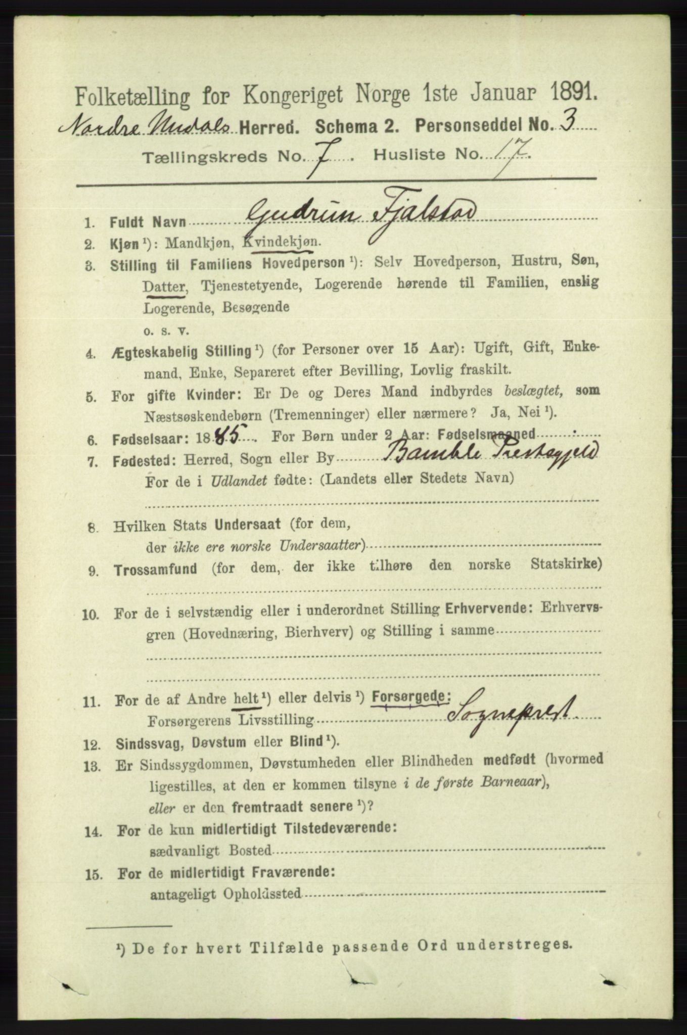 RA, 1891 census for 1028 Nord-Audnedal, 1891, p. 1886