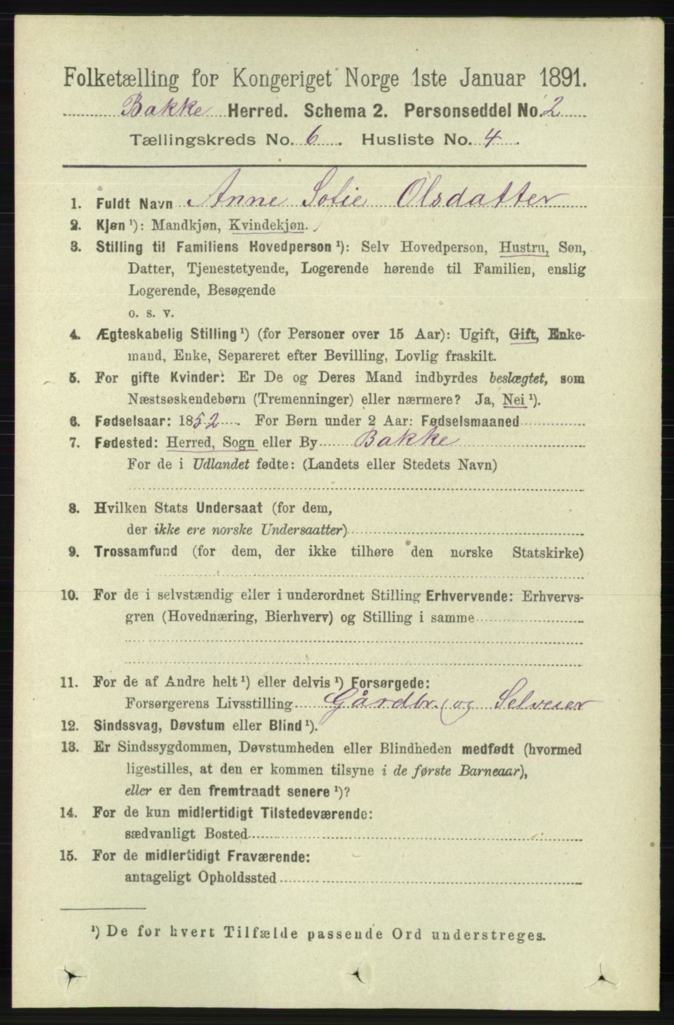 RA, 1891 census for 1045 Bakke, 1891, p. 1191