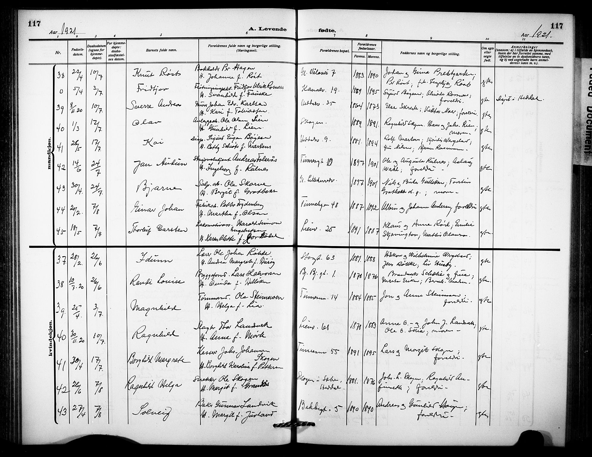 Notodden kirkebøker, AV/SAKO-A-290/G/Ga/L0001: Parish register (copy) no. 1, 1912-1923, p. 117