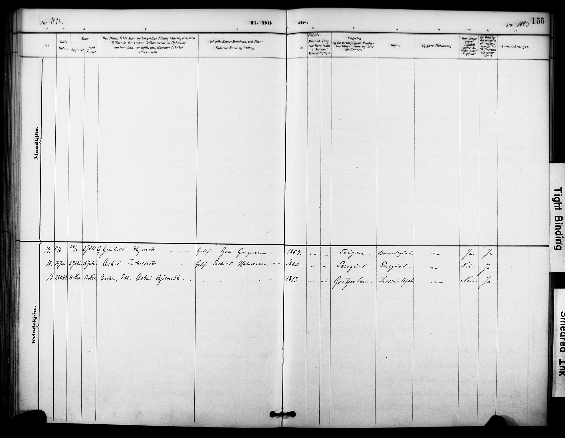 Nore kirkebøker, SAKO/A-238/F/Fc/L0004: Parish register (official) no. III 4, 1885-1898, p. 155