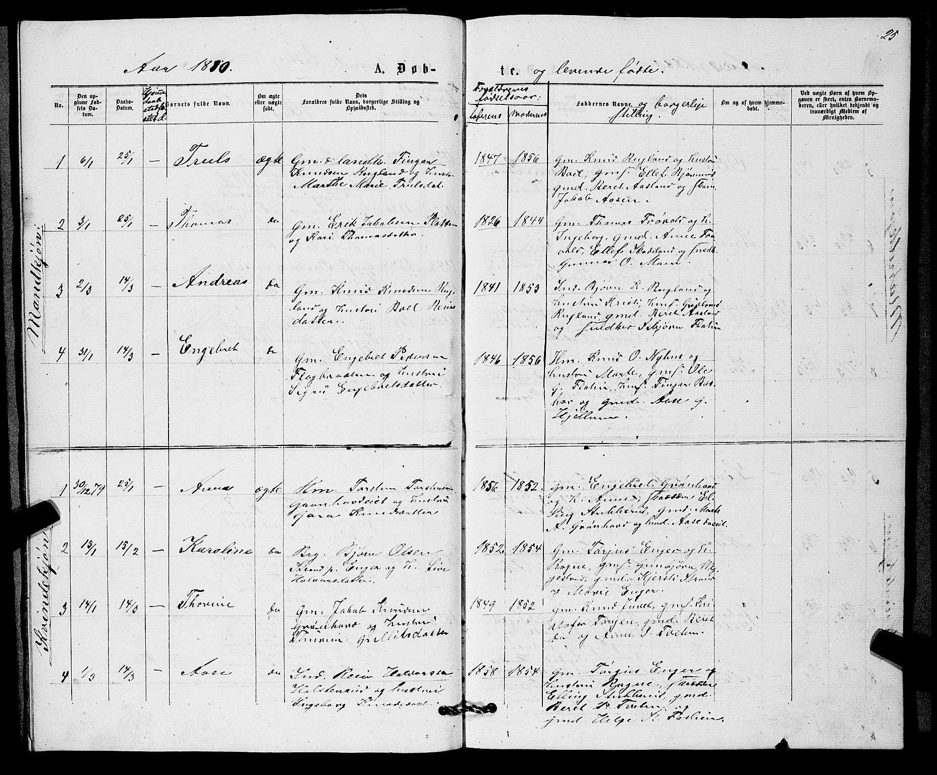 Sigdal kirkebøker, SAKO/A-245/G/Gb/L0002: Parish register (copy) no. II 2, 1875-1900, p. 25