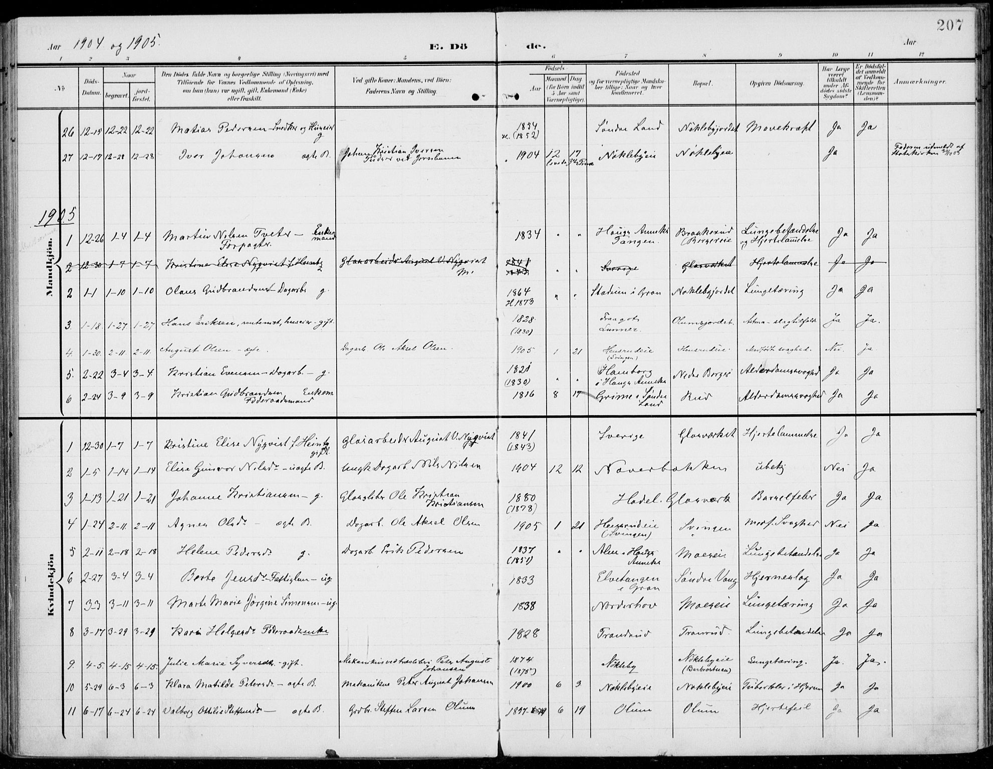 Jevnaker prestekontor, SAH/PREST-116/H/Ha/Haa/L0011: Parish register (official) no. 11, 1902-1913, p. 207