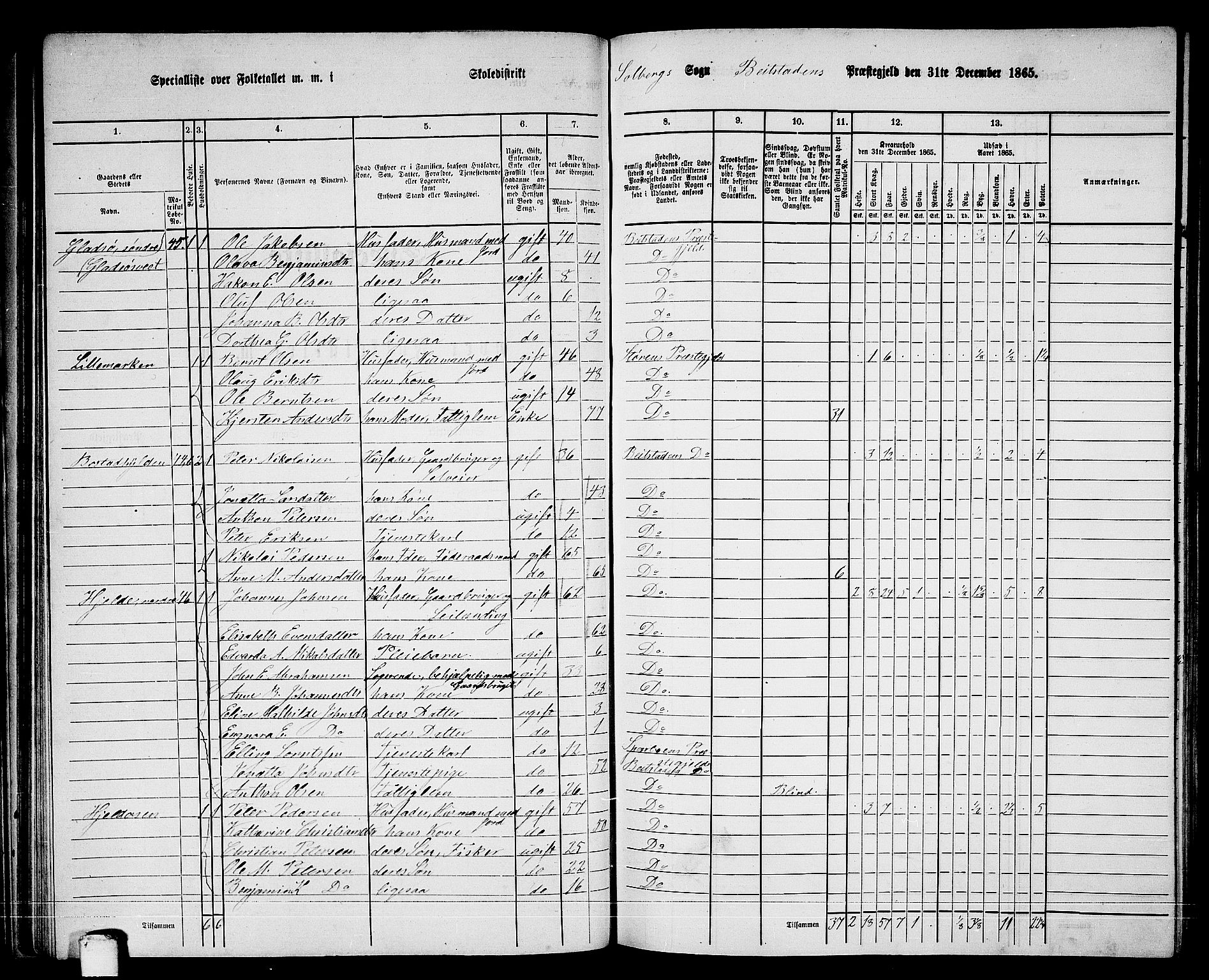 RA, 1865 census for Beitstad, 1865, p. 66