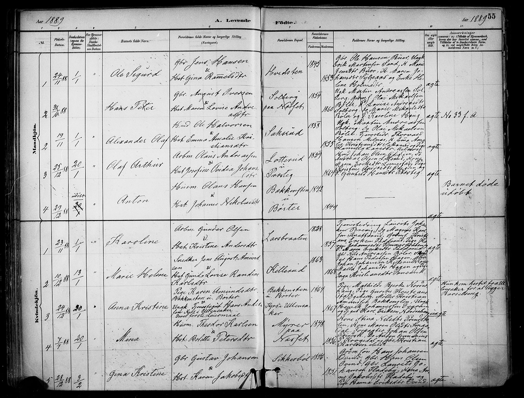 Enebakk prestekontor Kirkebøker, SAO/A-10171c/F/Fa/L0016: Parish register (official) no. I 16, 1883-1898, p. 55