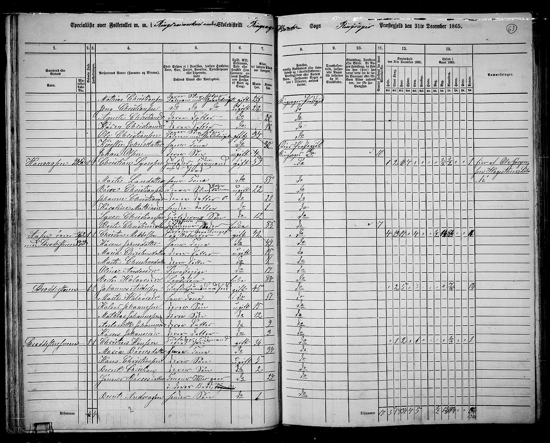 RA, 1865 census for Ringsaker, 1865, p. 315