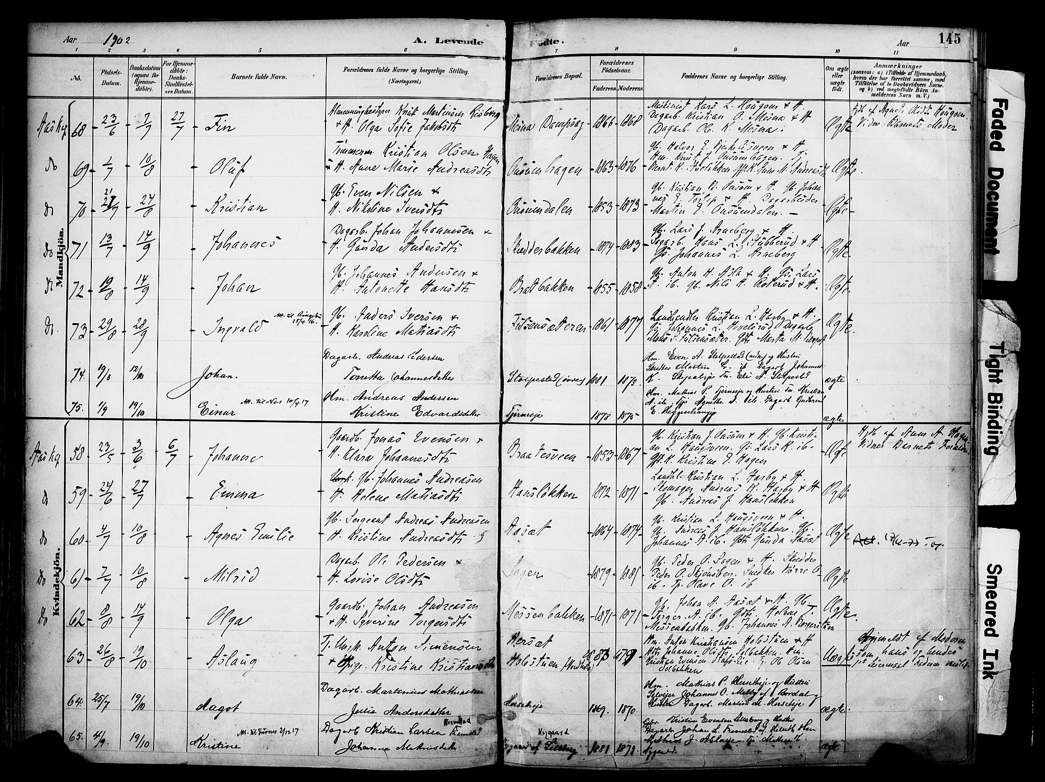 Ringsaker prestekontor, AV/SAH-PREST-014/K/Ka/L0017: Parish register (official) no. 17, 1891-1902, p. 145