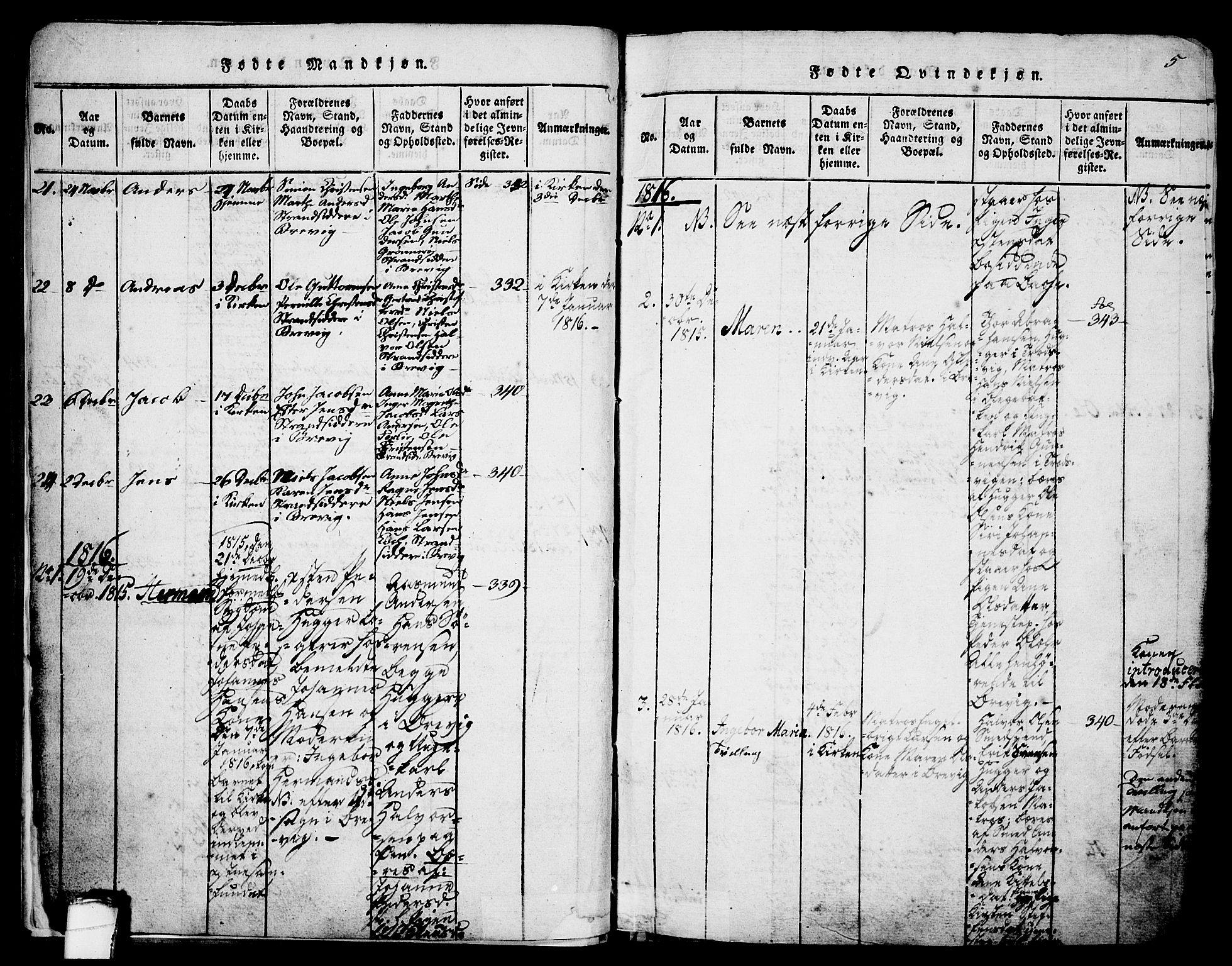 Brevik kirkebøker, AV/SAKO-A-255/G/Ga/L0001: Parish register (copy) no. 1, 1814-1845, p. 5