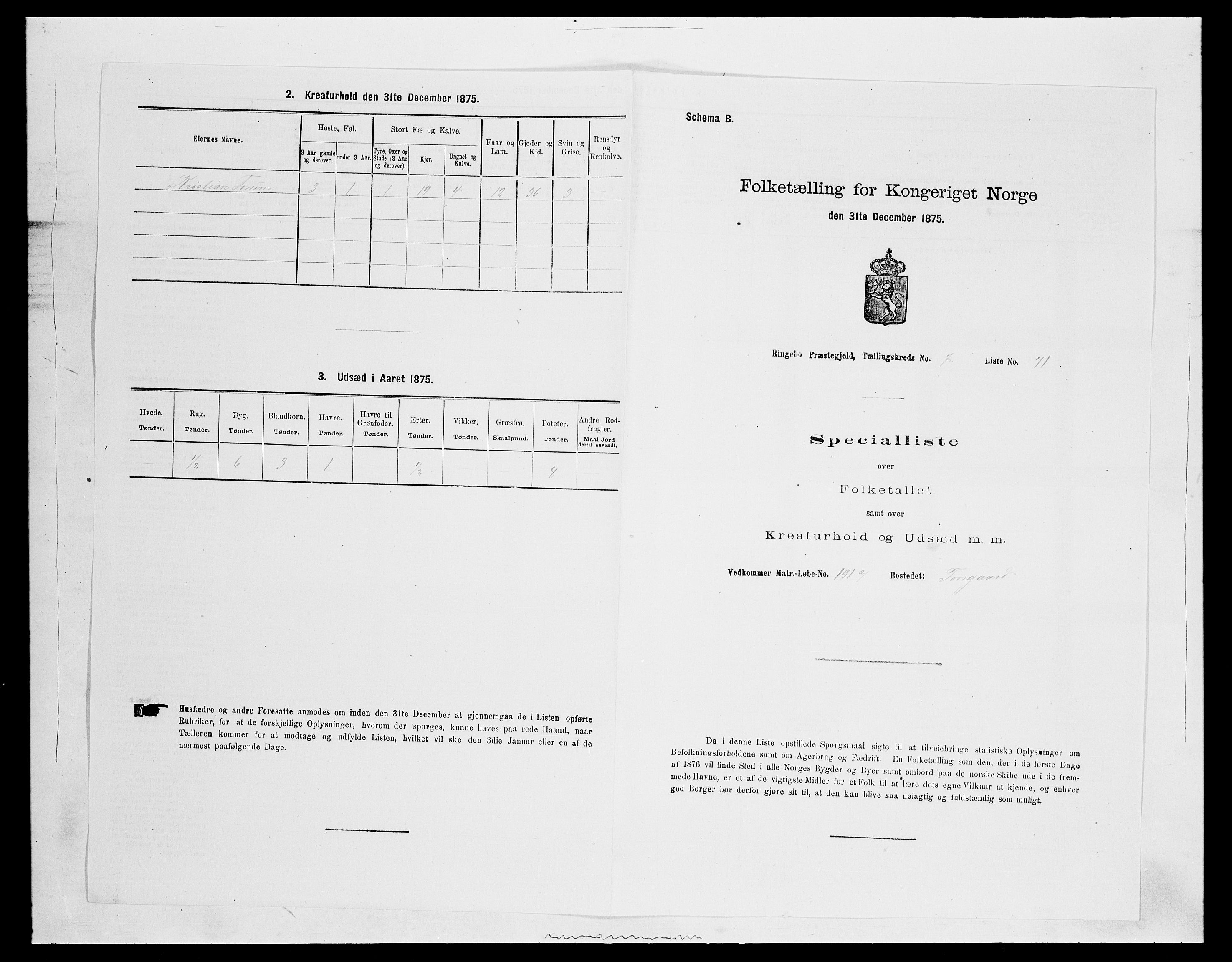 SAH, 1875 census for 0520P Ringebu, 1875, p. 1149