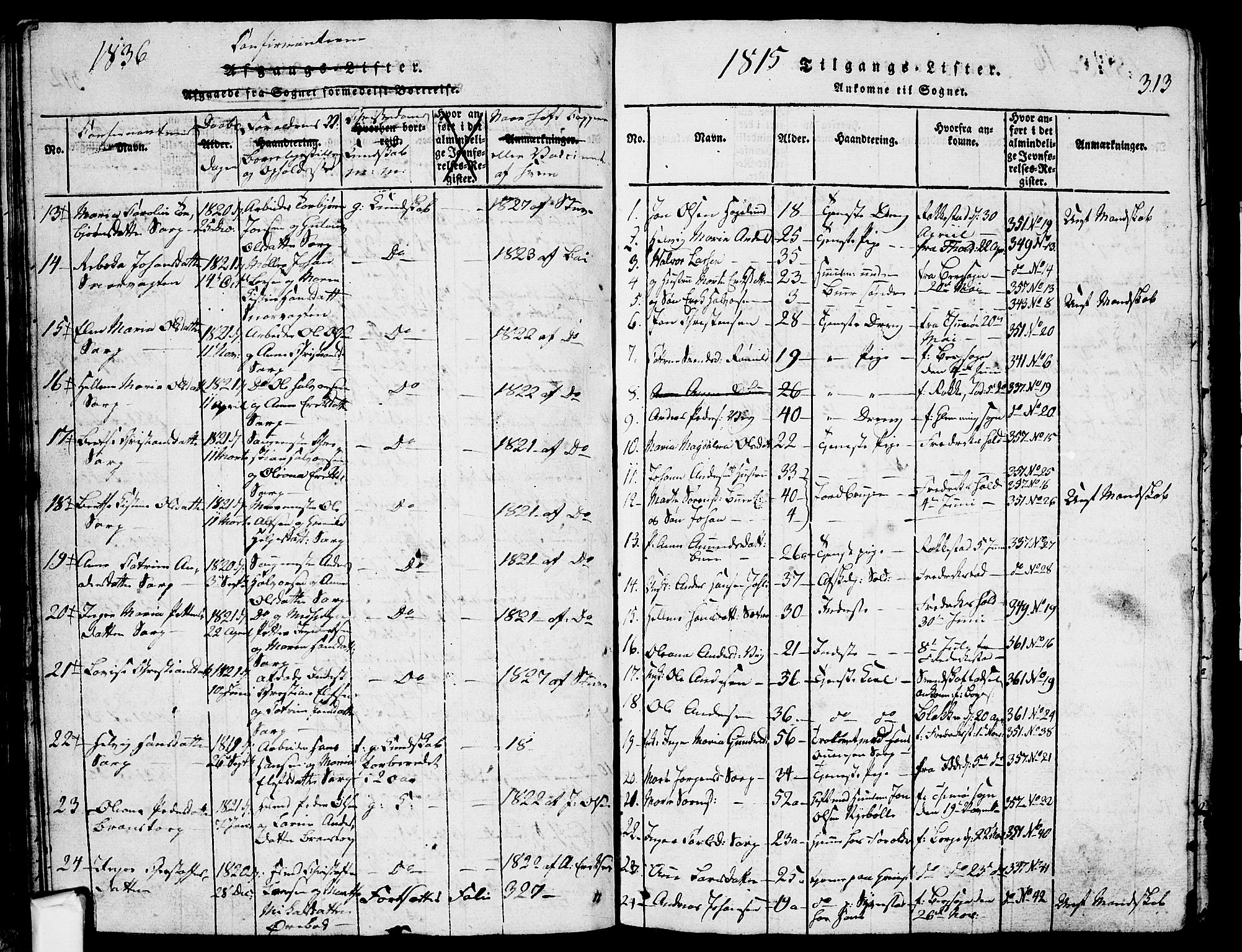 Skjeberg prestekontor Kirkebøker, SAO/A-10923/G/Ga/L0001: Parish register (copy) no. I 1, 1815-1830, p. 313