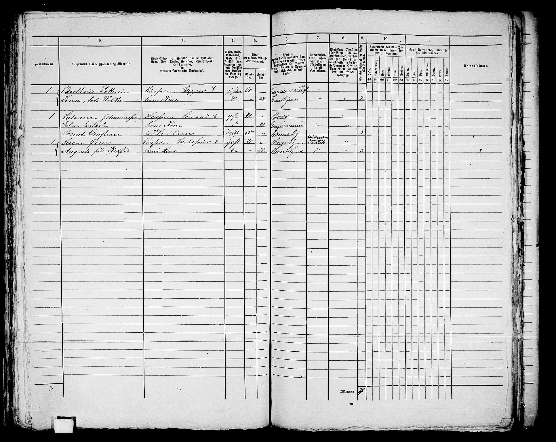 RA, 1865 census for Tromsø, 1865, p. 702