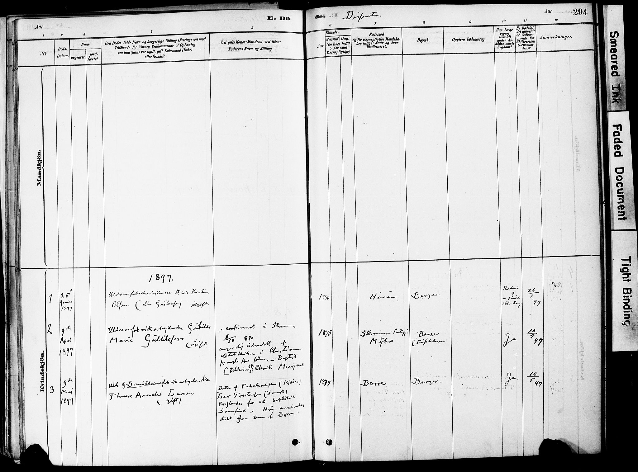 Strømm kirkebøker, AV/SAKO-A-322/F/Fa/L0004: Parish register (official) no. I 4, 1878-1899, p. 294