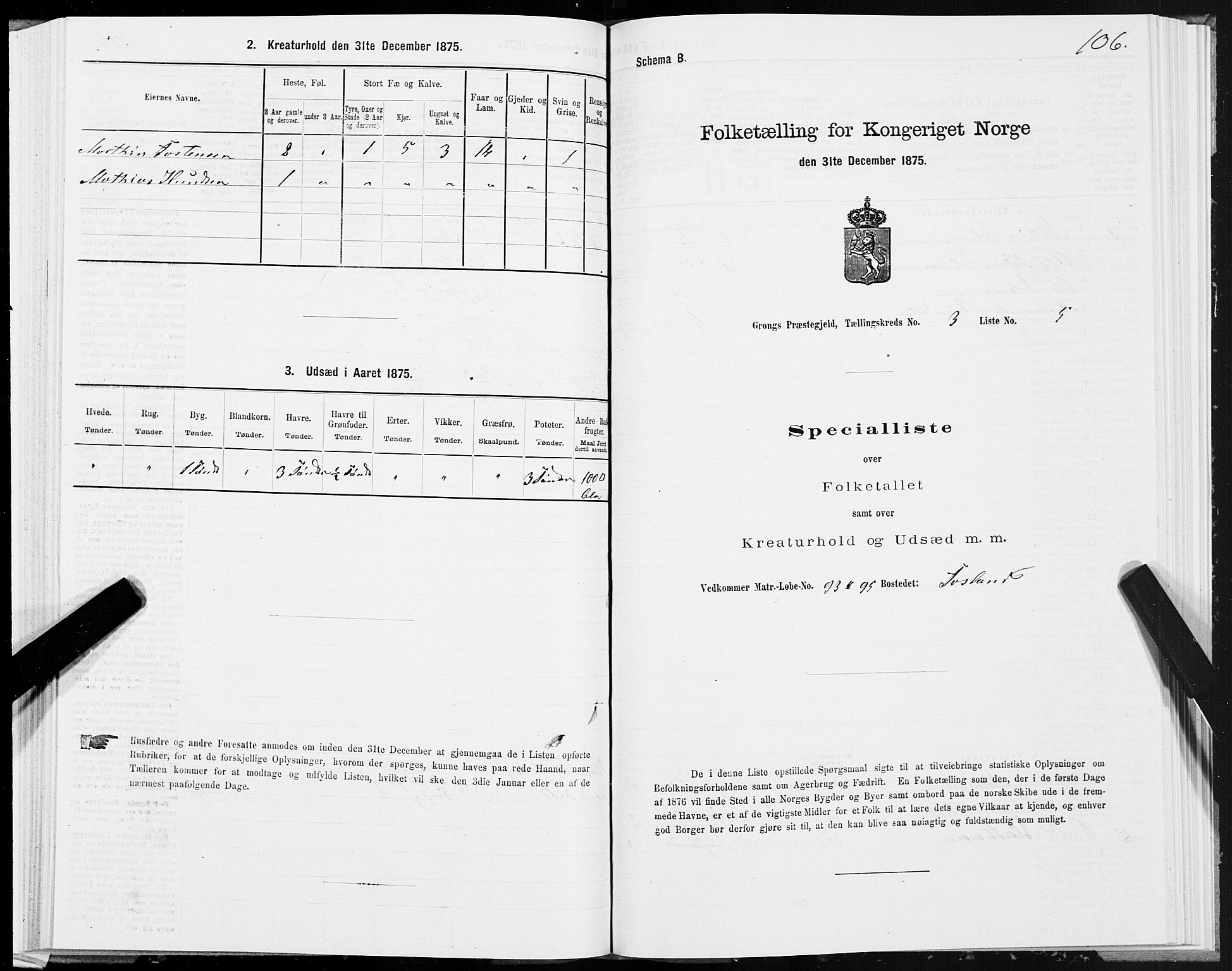 SAT, 1875 census for 1742P Grong, 1875, p. 2106