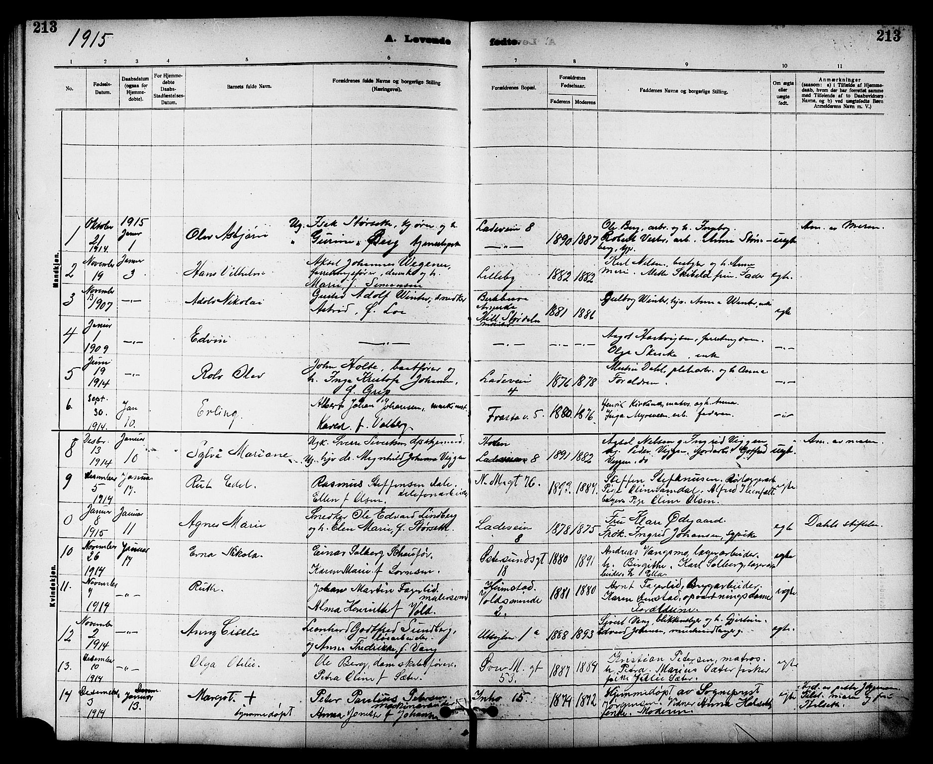 Ministerialprotokoller, klokkerbøker og fødselsregistre - Sør-Trøndelag, AV/SAT-A-1456/605/L0254: Parish register (copy) no. 605C01, 1908-1916, p. 213