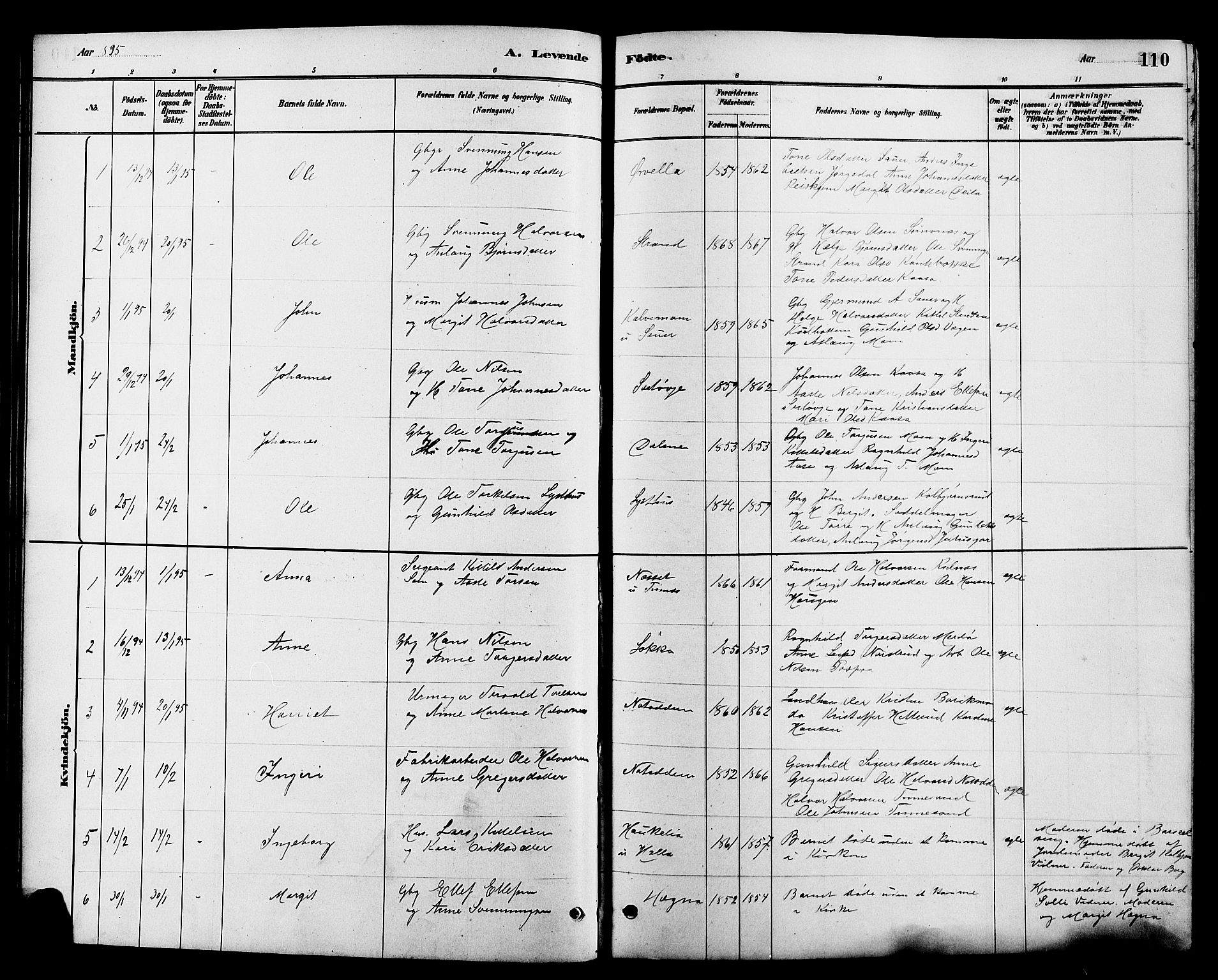 Heddal kirkebøker, SAKO/A-268/G/Ga/L0002: Parish register (copy) no. I 2, 1879-1908, p. 110