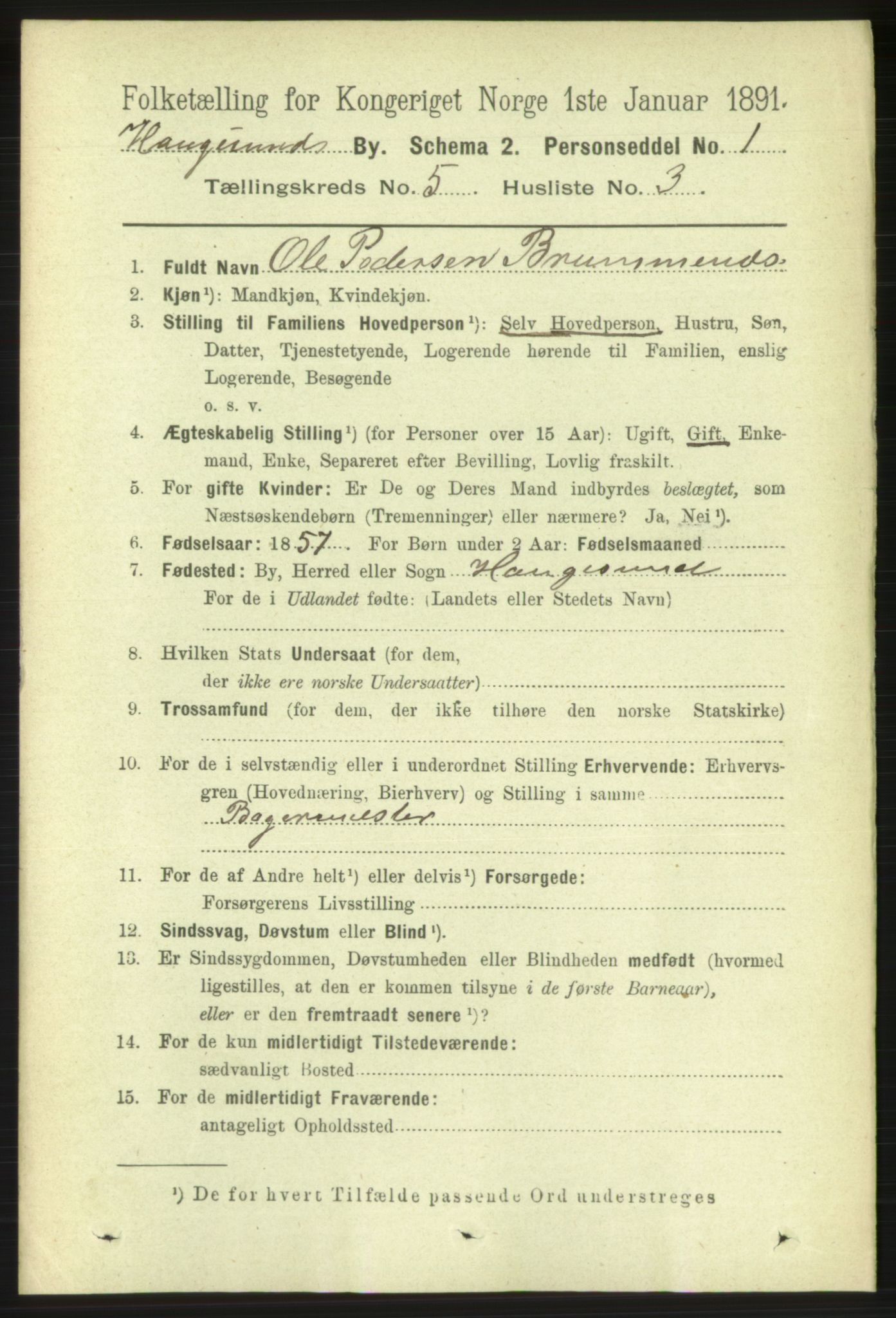 RA, 1891 census for 1106 Haugesund, 1891, p. 1953