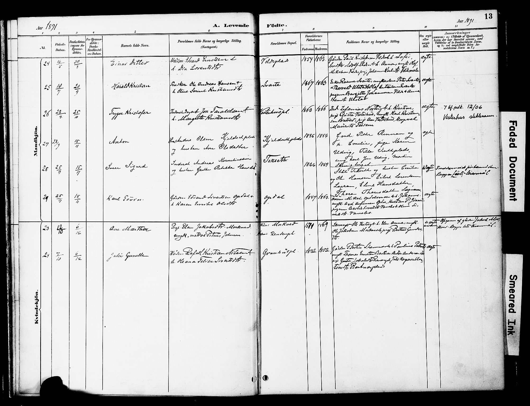 Ministerialprotokoller, klokkerbøker og fødselsregistre - Nord-Trøndelag, AV/SAT-A-1458/741/L0396: Parish register (official) no. 741A10, 1889-1901, p. 13