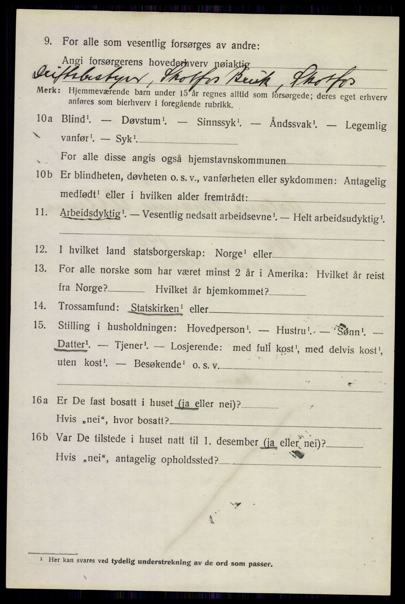 SAKO, 1920 census for Solum, 1920, p. 6313