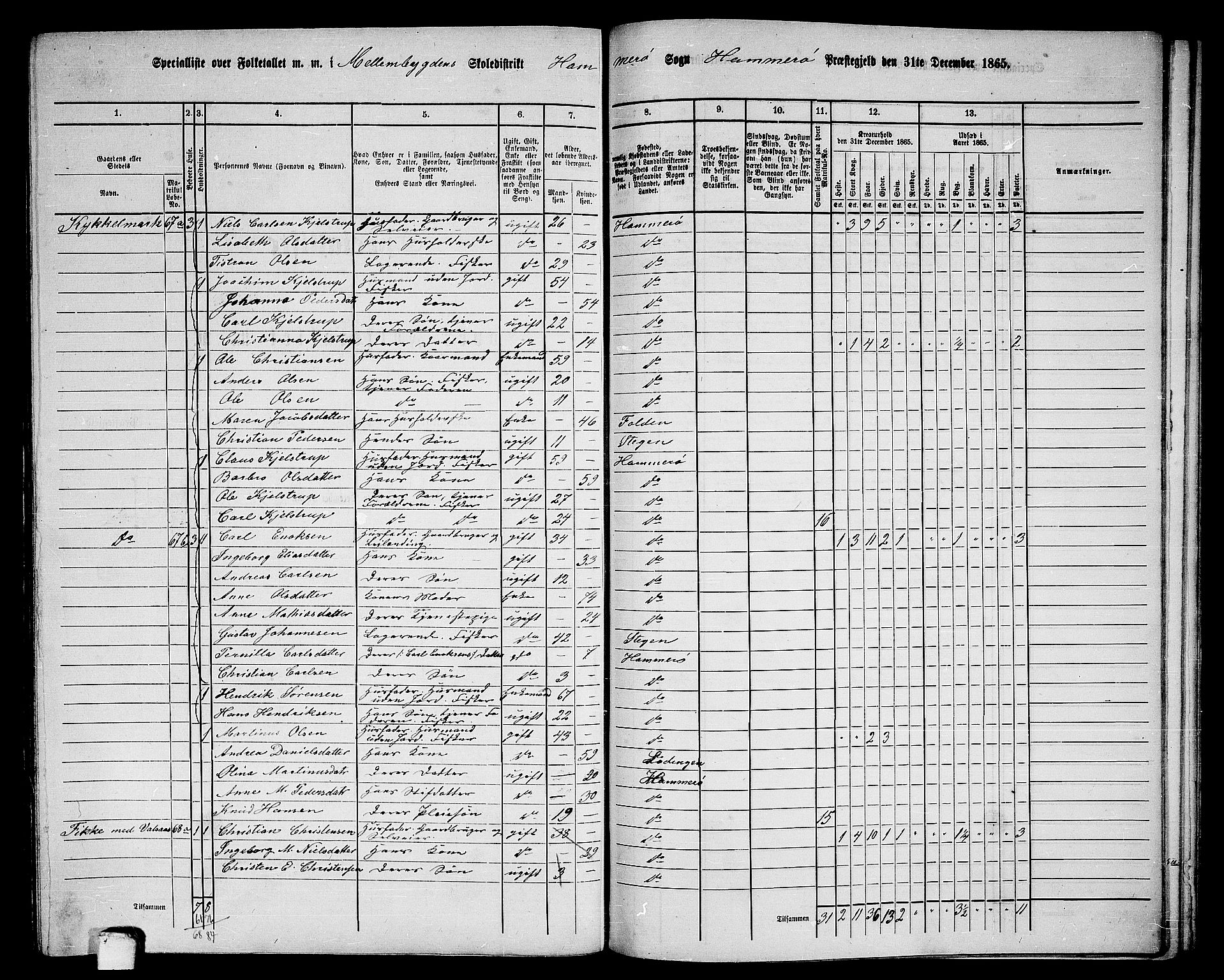 RA, 1865 census for Hamarøy, 1865, p. 42