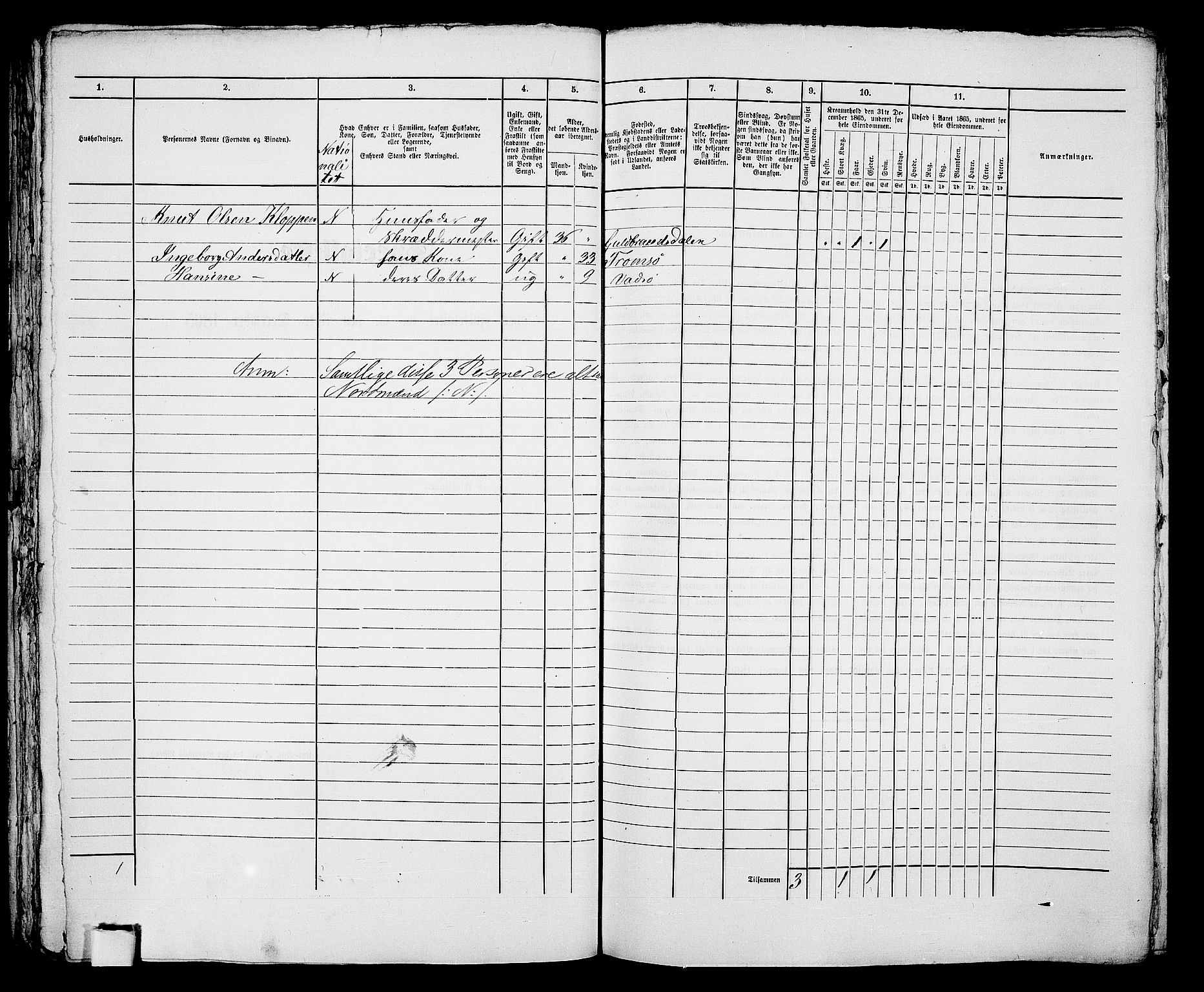 RA, 1865 census for Vadsø/Vadsø, 1865, p. 94