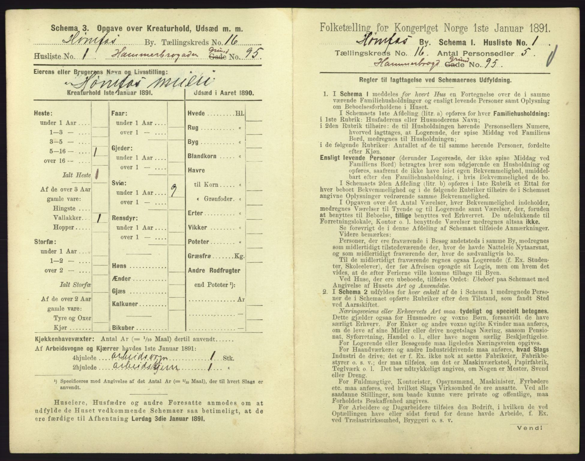 RA, 1891 census for 0601 Hønefoss, 1891, p. 339