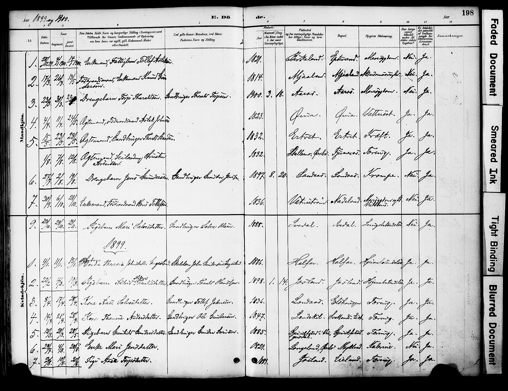 Evje sokneprestkontor, AV/SAK-1111-0008/F/Fa/Fac/L0003: Parish register (official) no. A 3, 1884-1909, p. 198