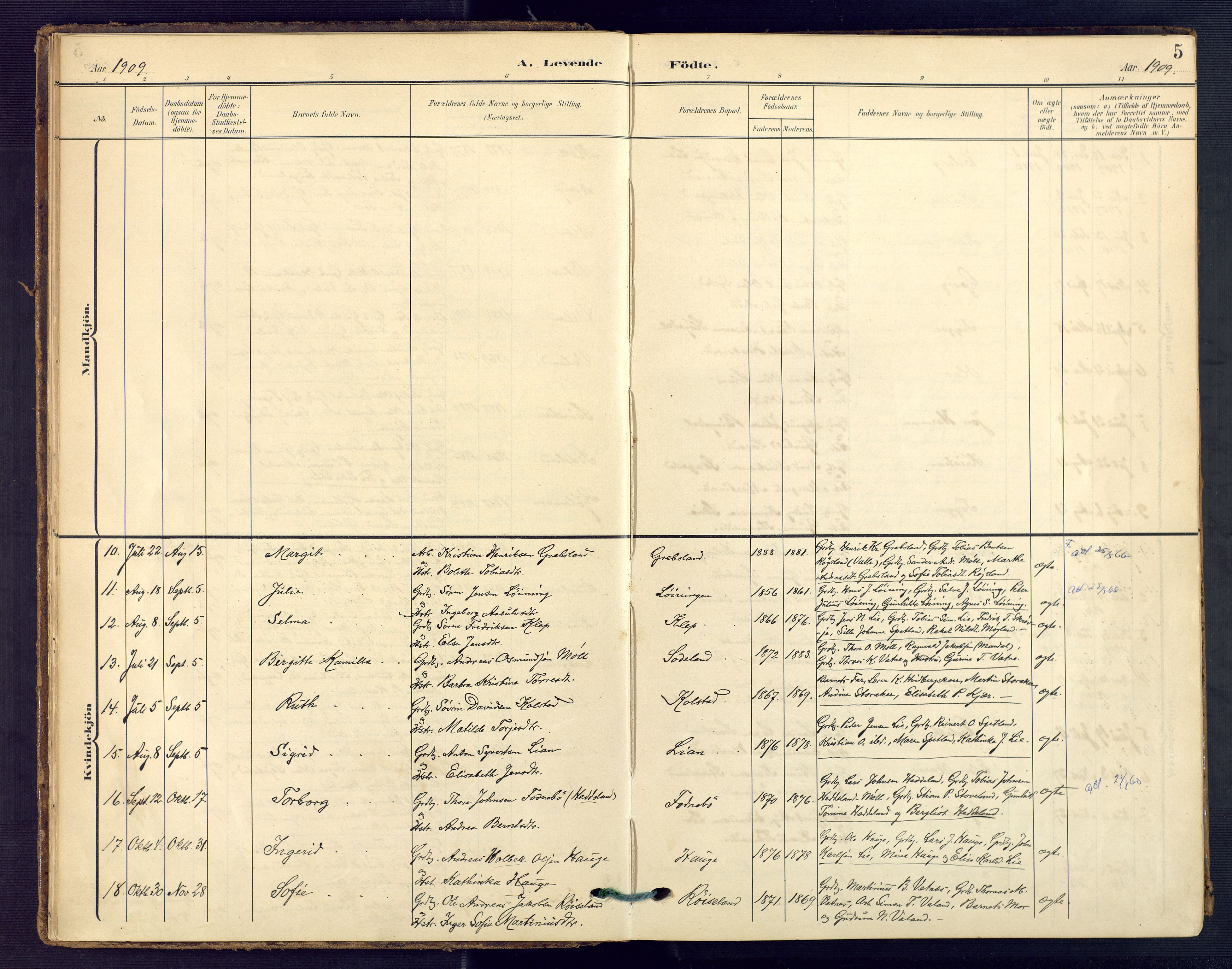 Holum sokneprestkontor, AV/SAK-1111-0022/F/Fa/Faa/L0008: Parish register (official) no. A 8, 1908-1929, p. 5