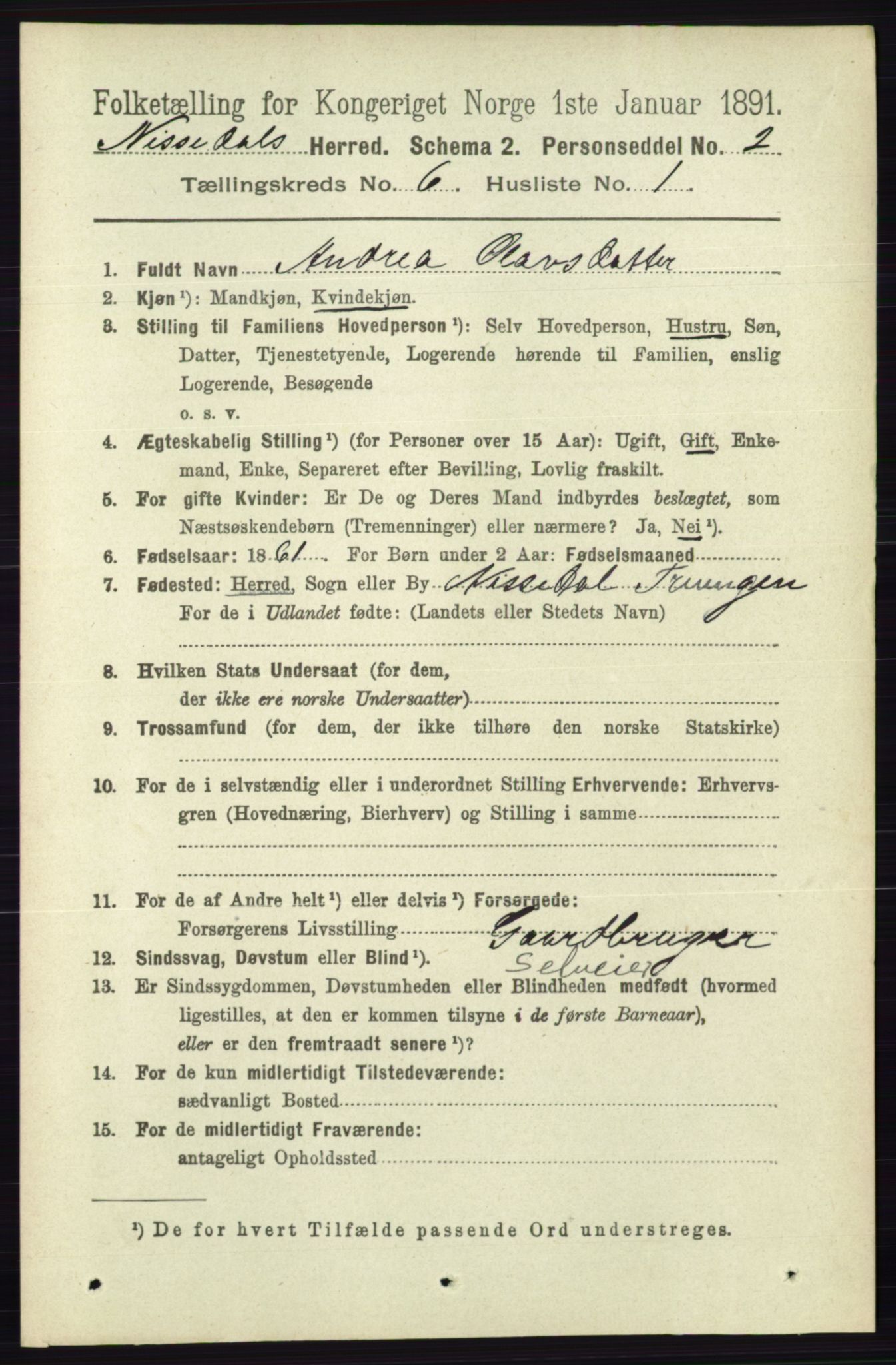 RA, 1891 census for 0830 Nissedal, 1891, p. 1333