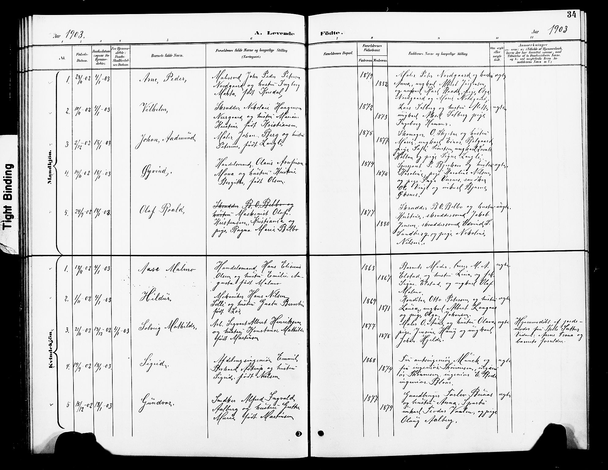Ministerialprotokoller, klokkerbøker og fødselsregistre - Nord-Trøndelag, SAT/A-1458/739/L0375: Parish register (copy) no. 739C03, 1898-1908, p. 34
