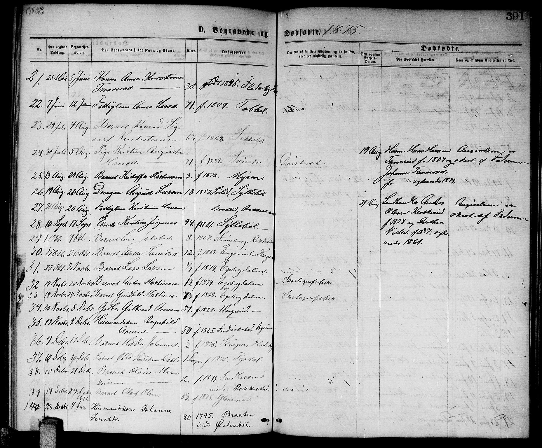 Enebakk prestekontor Kirkebøker, SAO/A-10171c/G/Ga/L0005: Parish register (copy) no. I 5, 1867-1888, p. 391