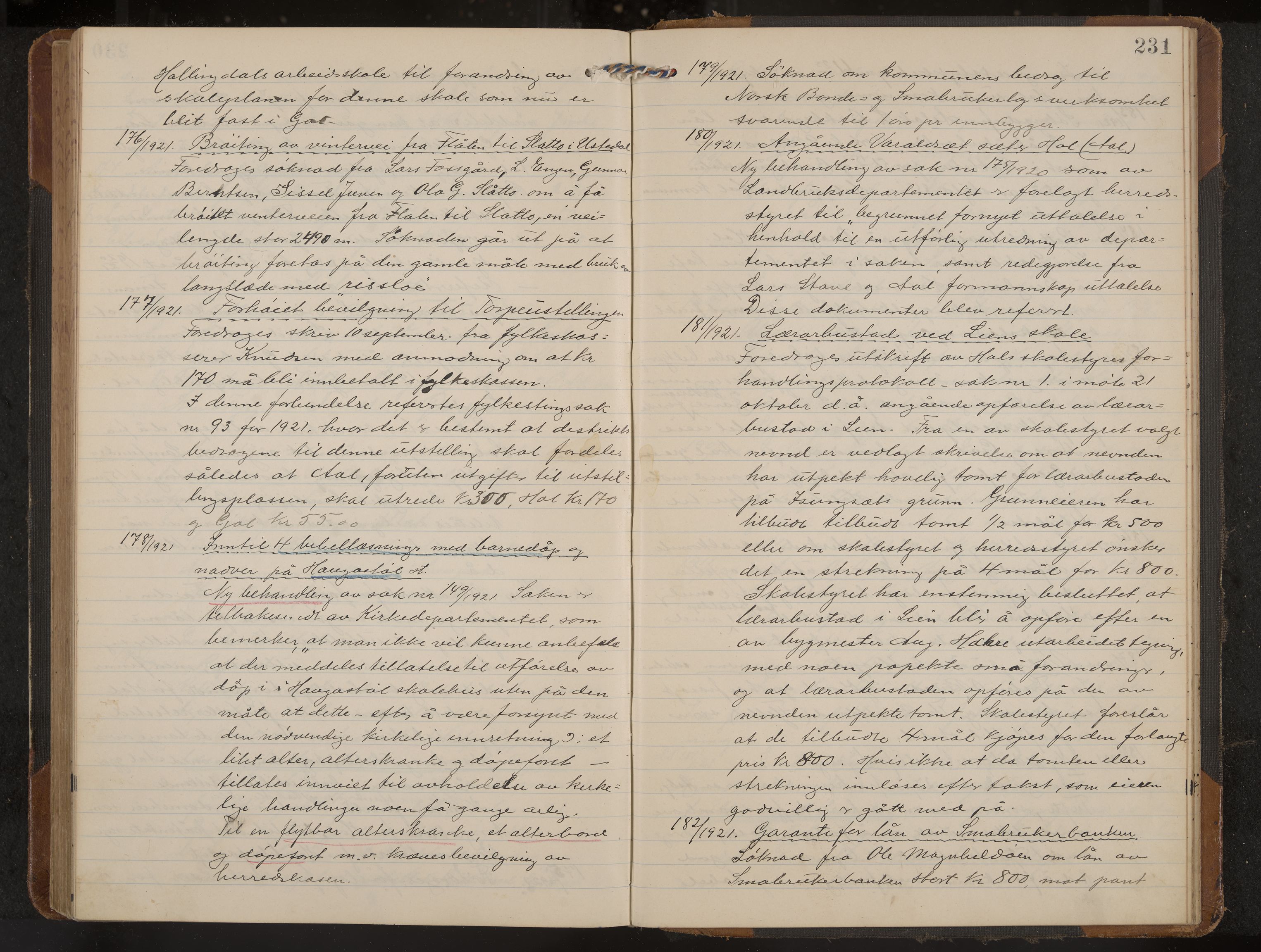 Hol formannskap og sentraladministrasjon, IKAK/0620021-1/A/L0006: Møtebok, 1916-1922, p. 231