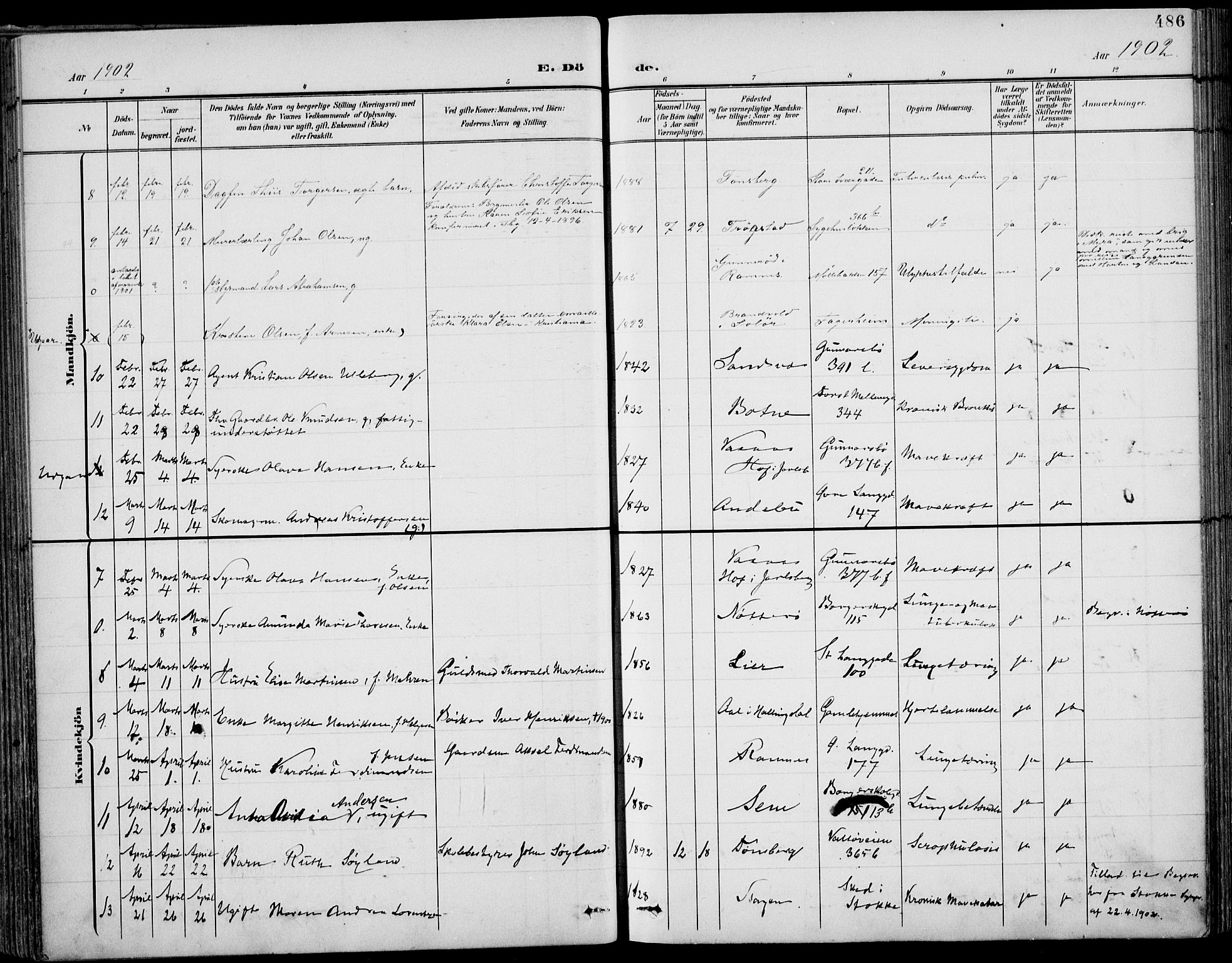 Tønsberg kirkebøker, AV/SAKO-A-330/F/Fa/L0013: Parish register (official) no. I 13, 1900-1913, p. 486