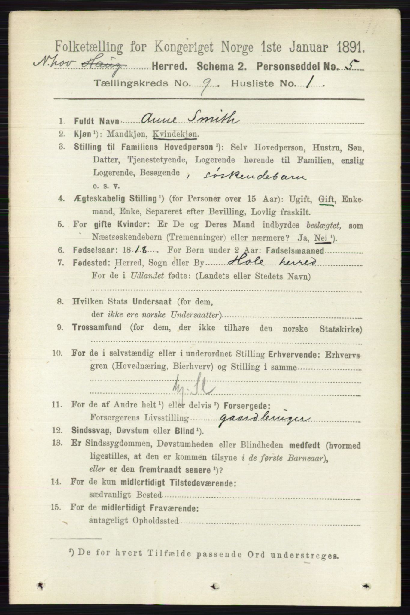 RA, 1891 census for 0613 Norderhov, 1891, p. 6602