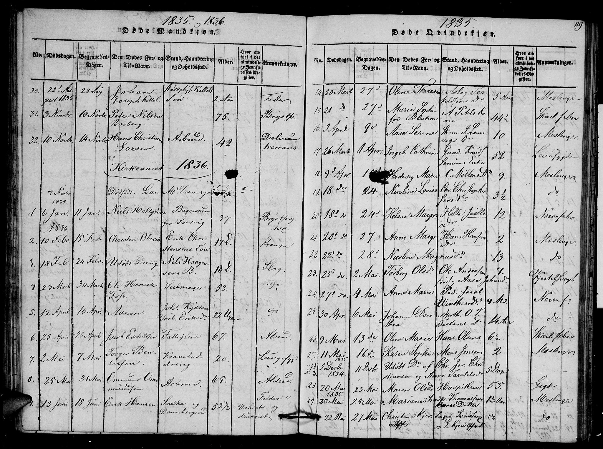 Arendal sokneprestkontor, Trefoldighet, SAK/1111-0040/F/Fb/L0001: Parish register (copy) no. B 1, 1816-1838, p. 119