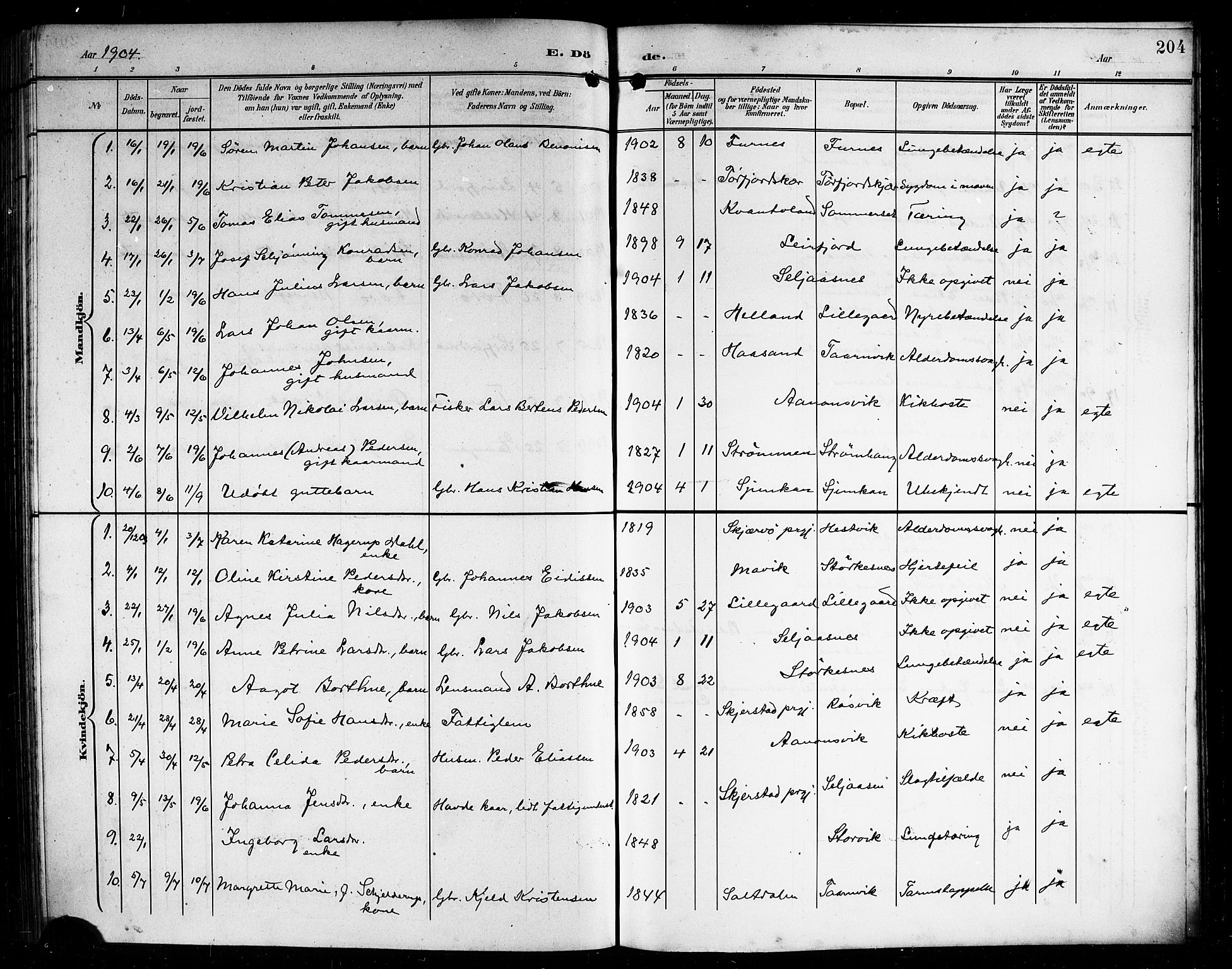 Ministerialprotokoller, klokkerbøker og fødselsregistre - Nordland, AV/SAT-A-1459/854/L0786: Parish register (copy) no. 854C02, 1901-1912, p. 204