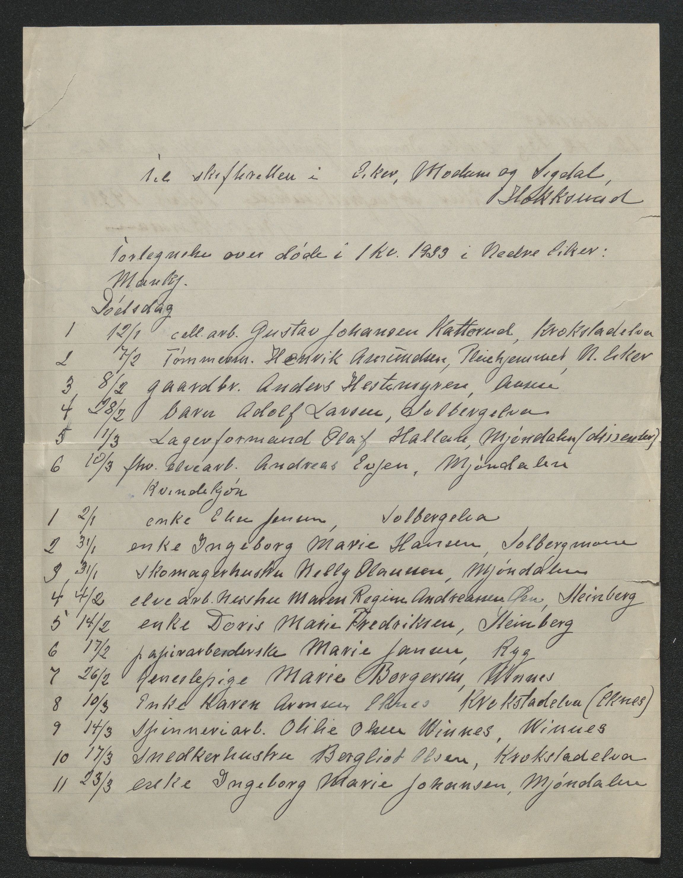 Eiker, Modum og Sigdal sorenskriveri, AV/SAKO-A-123/H/Ha/Hab/L0048: Dødsfallsmeldinger, 1933, p. 16