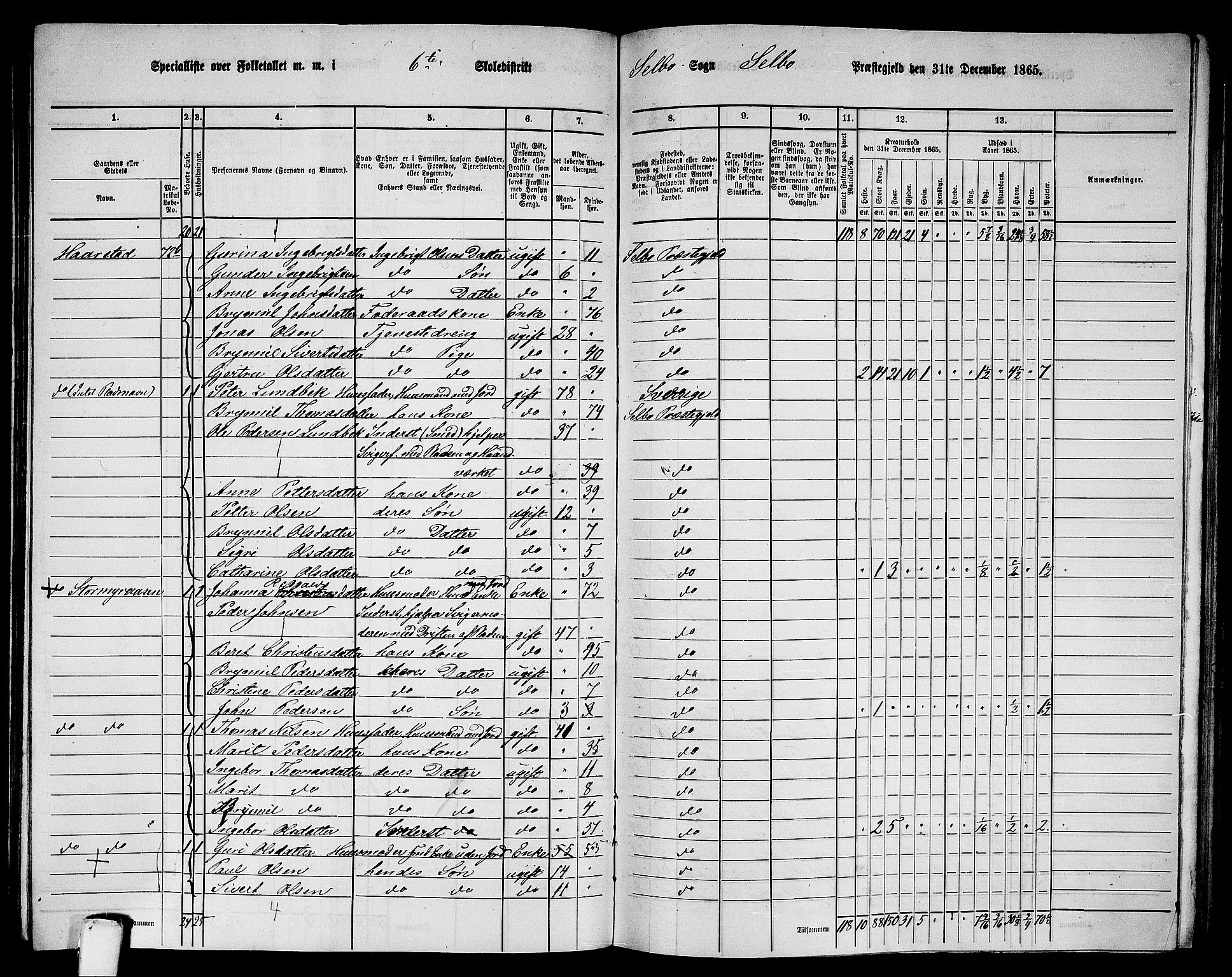 RA, 1865 census for Selbu, 1865, p. 95