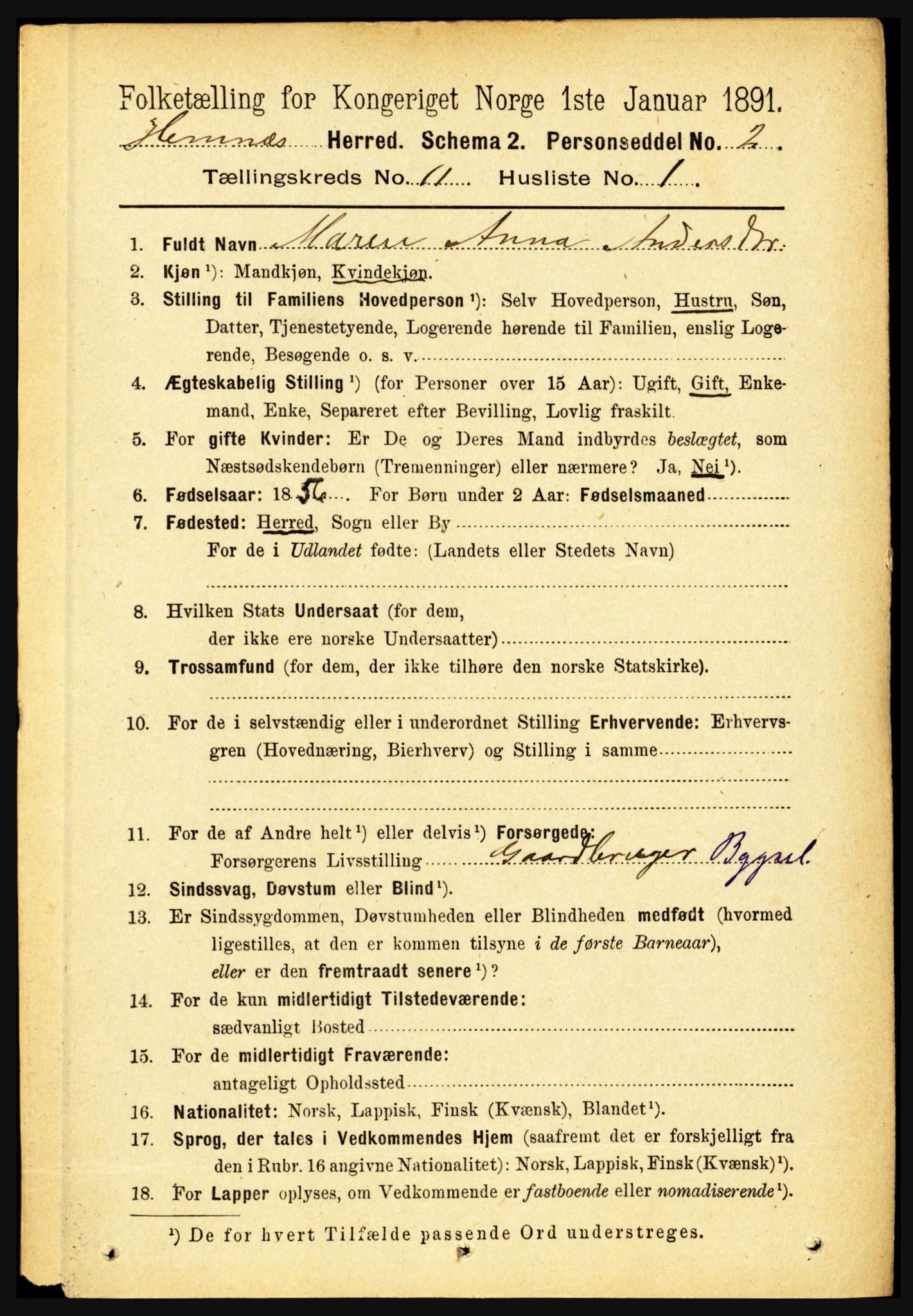 RA, 1891 census for 1832 Hemnes, 1891, p. 5305