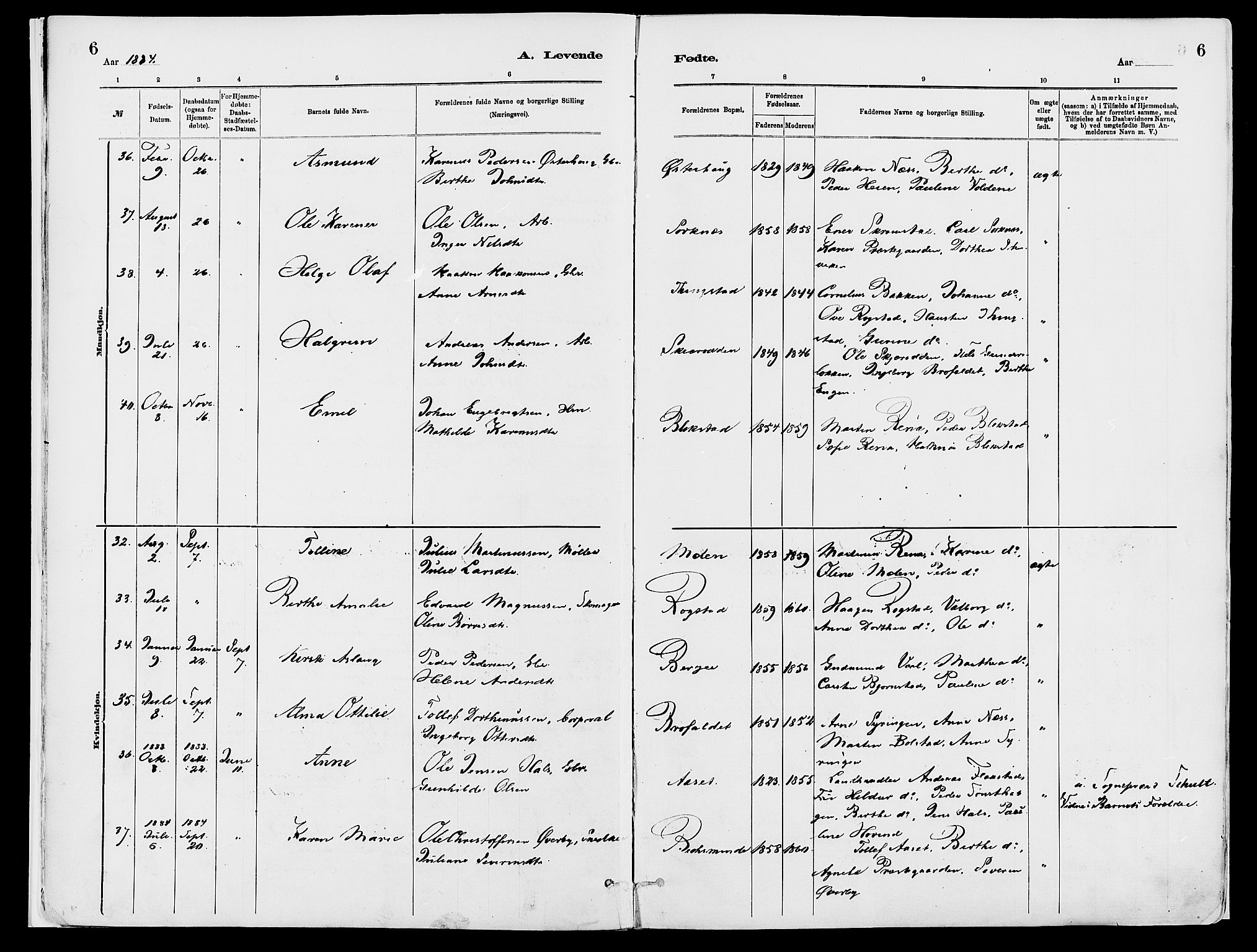 Åmot prestekontor, Hedmark, AV/SAH-PREST-056/H/Ha/Haa/L0010: Parish register (official) no. 10, 1884-1889, p. 6