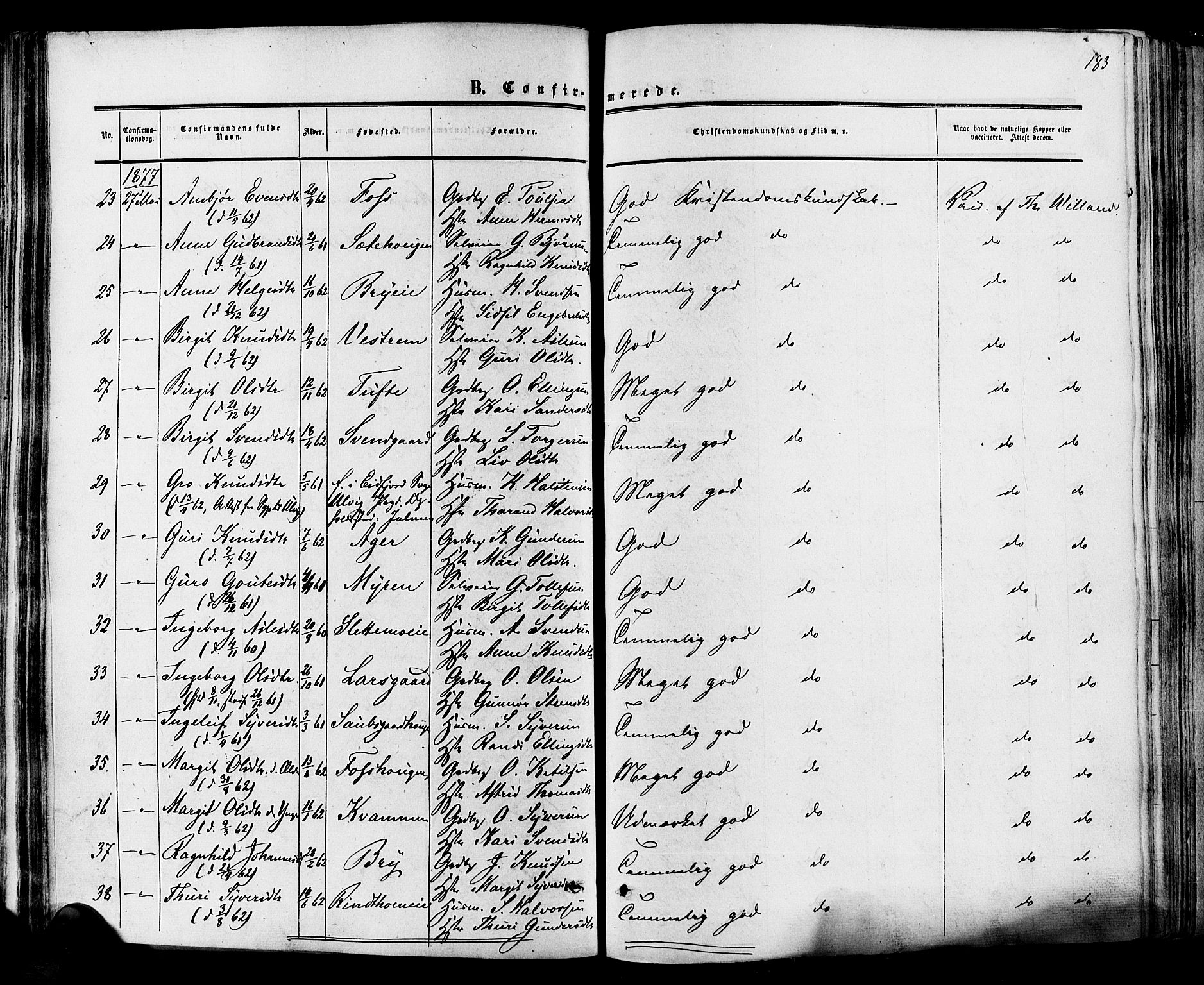 Hol kirkebøker, SAKO/A-227/F/Fa/L0002: Parish register (official) no. I 2, 1870-1886, p. 183