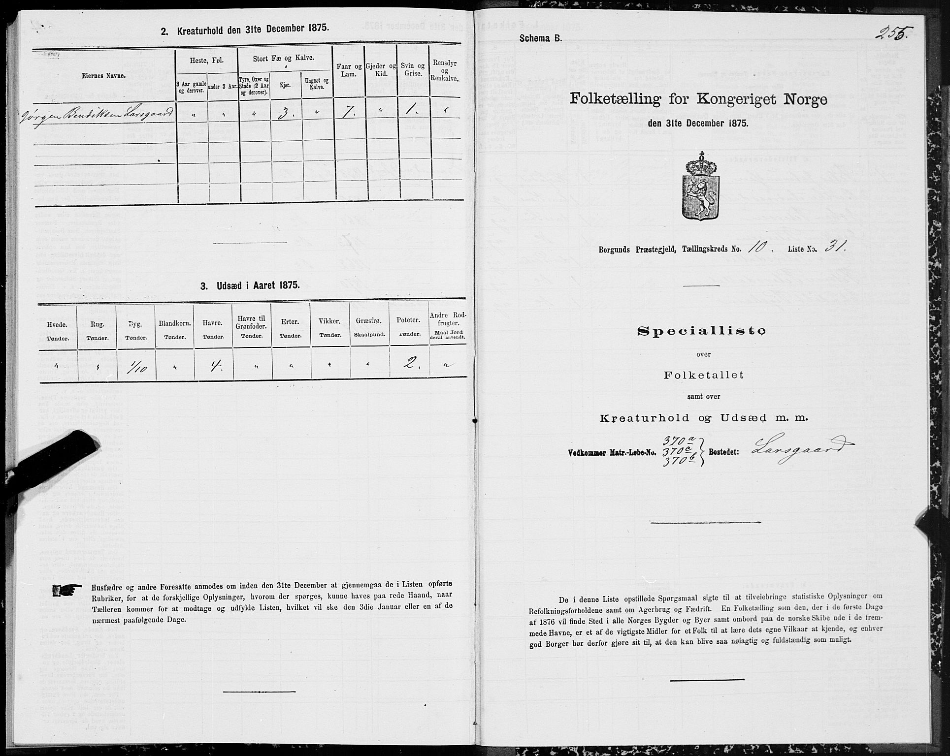 SAT, 1875 census for 1531P Borgund, 1875, p. 5255